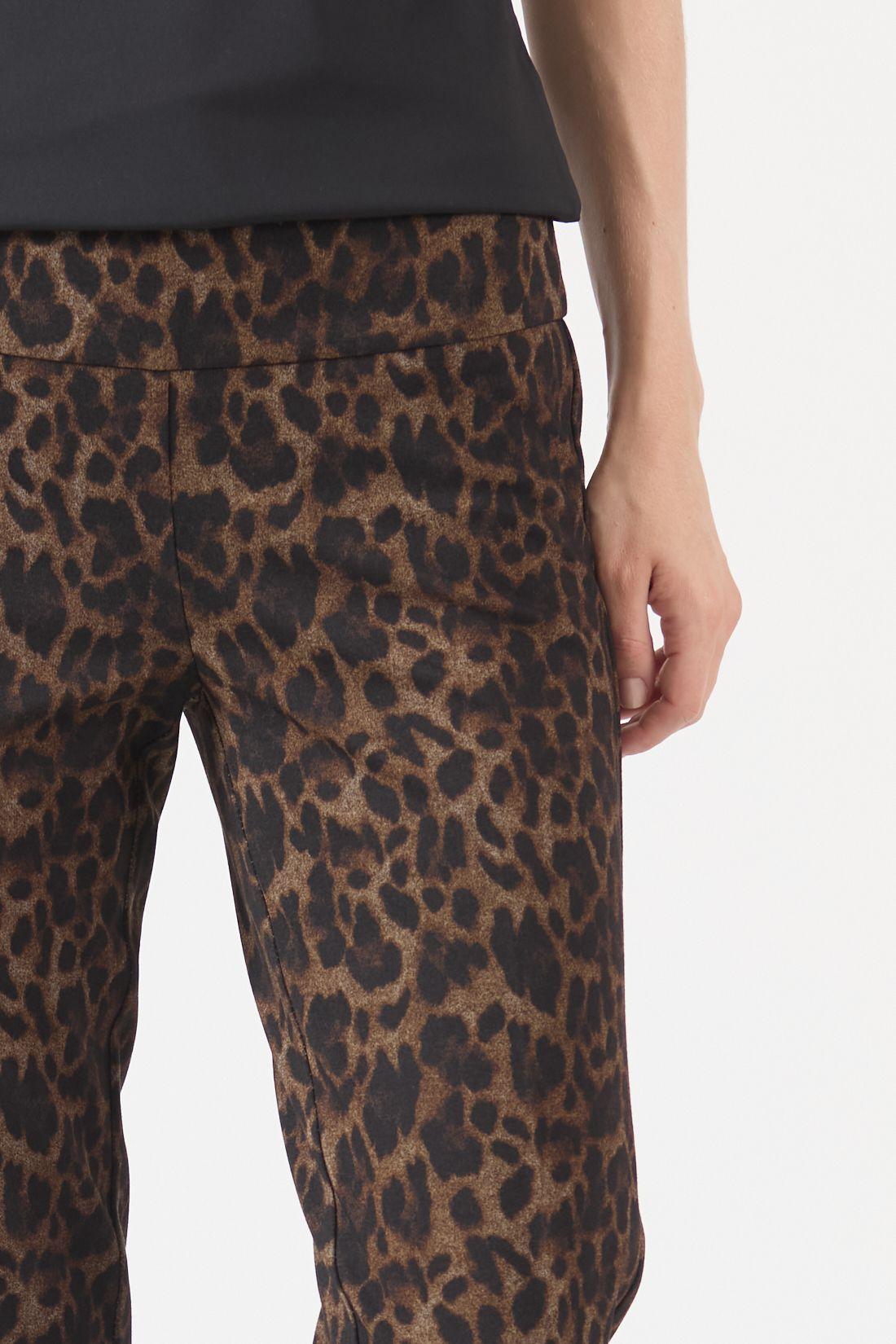 Leggings Estamplado Camel Cod 1900866-1