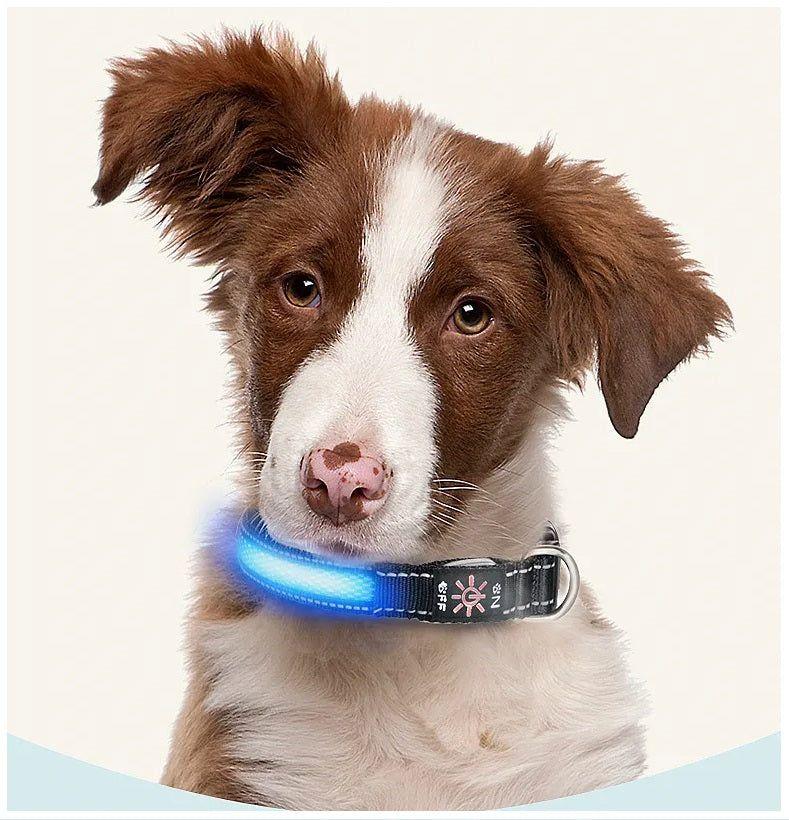 Collar LED USB para mascotas talla M azul-7
