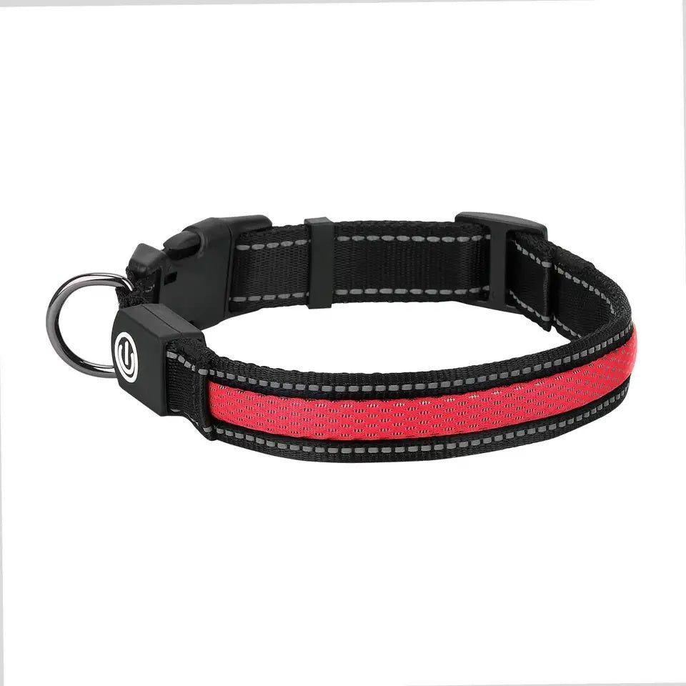 Collar LED USB para mascotas talla M rojo-9