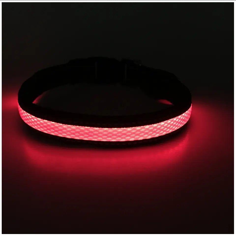 Collar LED USB para mascotas talla M rojo-1