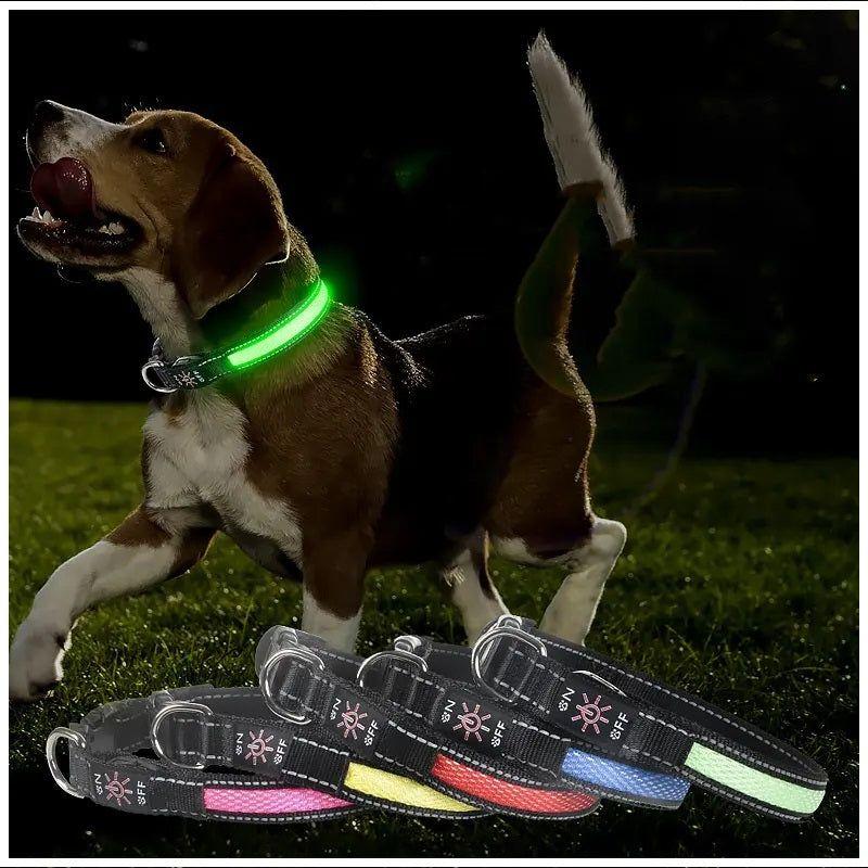 Collar LED USB para mascotas talla S verde-2