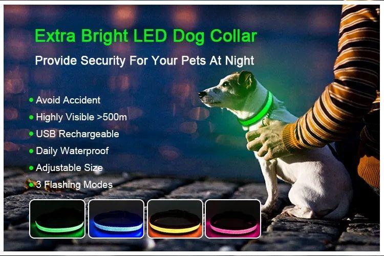 Collar LED USB para mascotas talla S azul-6