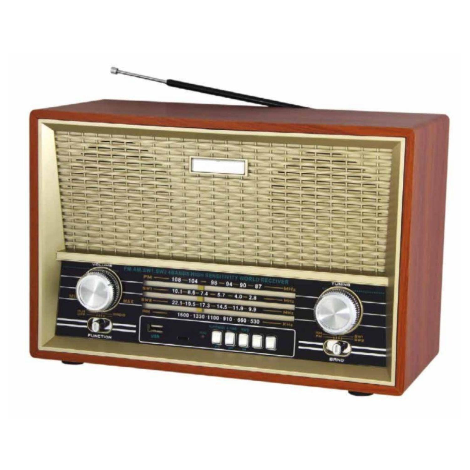 RADIO RETRO PORTATIL BLUETOOTH FM-USB-SD RECARGABLE AUDIOPRO-0
