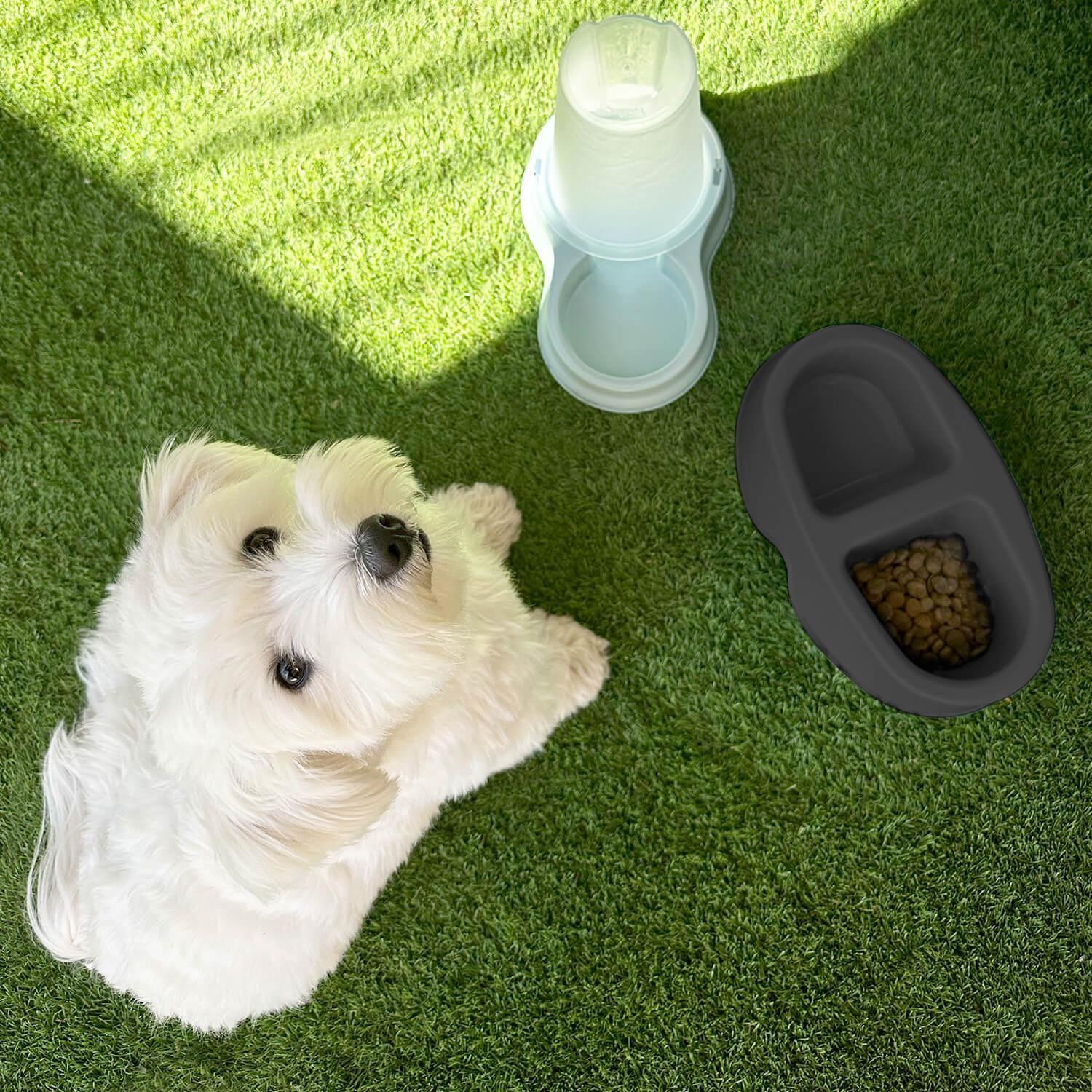 Comedero Bebedero Doble Para Mascota Negro 100ML Cool Pets-5