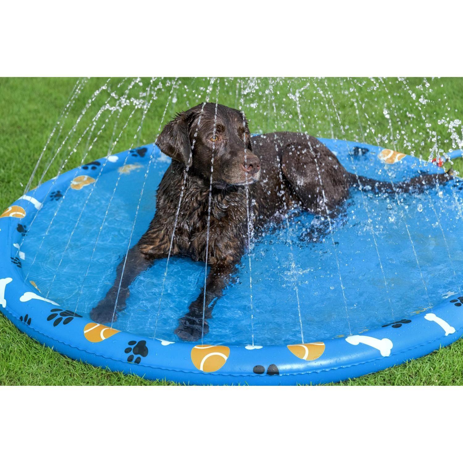 Piscina de Juegos Reforzada para Mascotas 1,47m Bestway-2