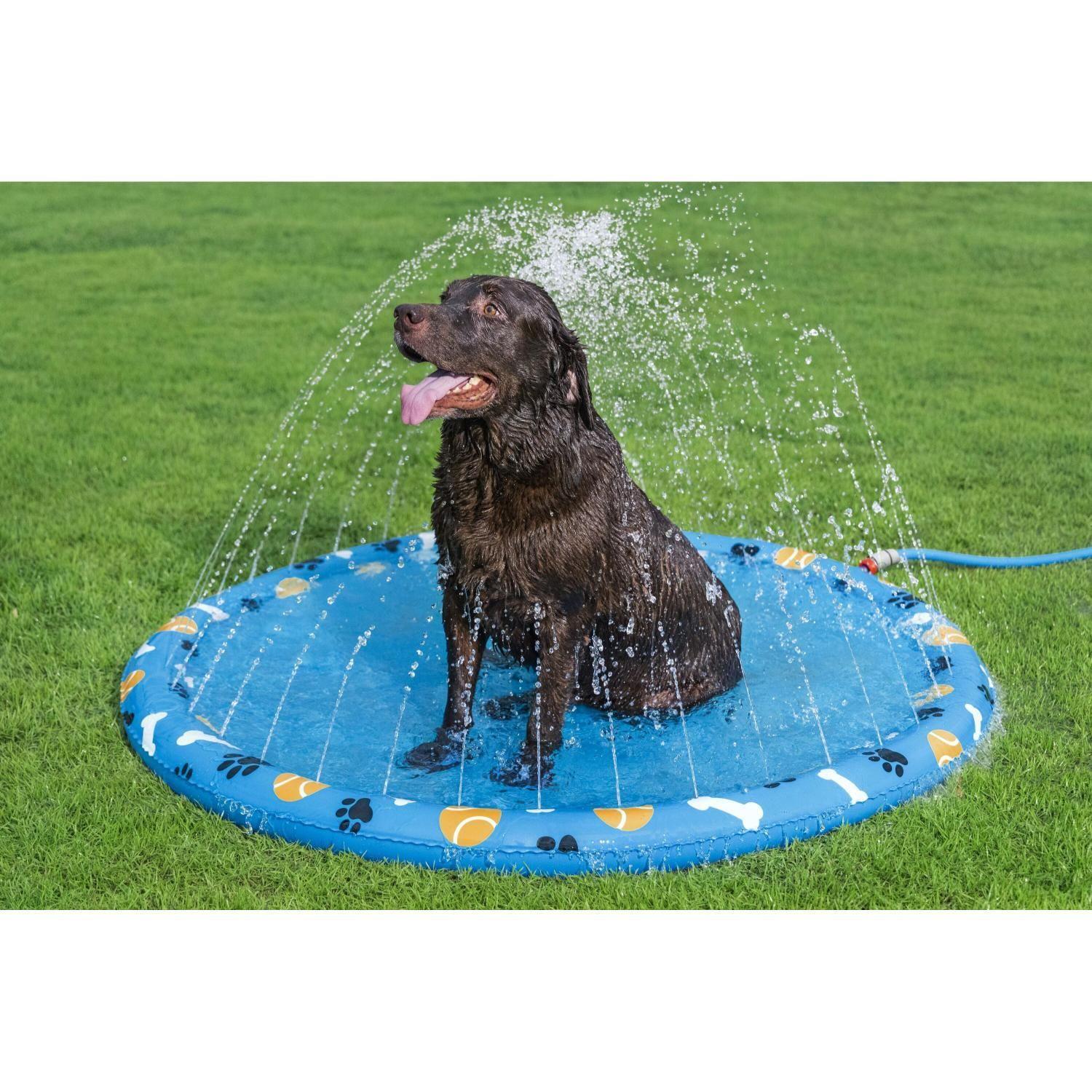 Piscina de Juegos Reforzada para Mascotas 1,47m Bestway-4
