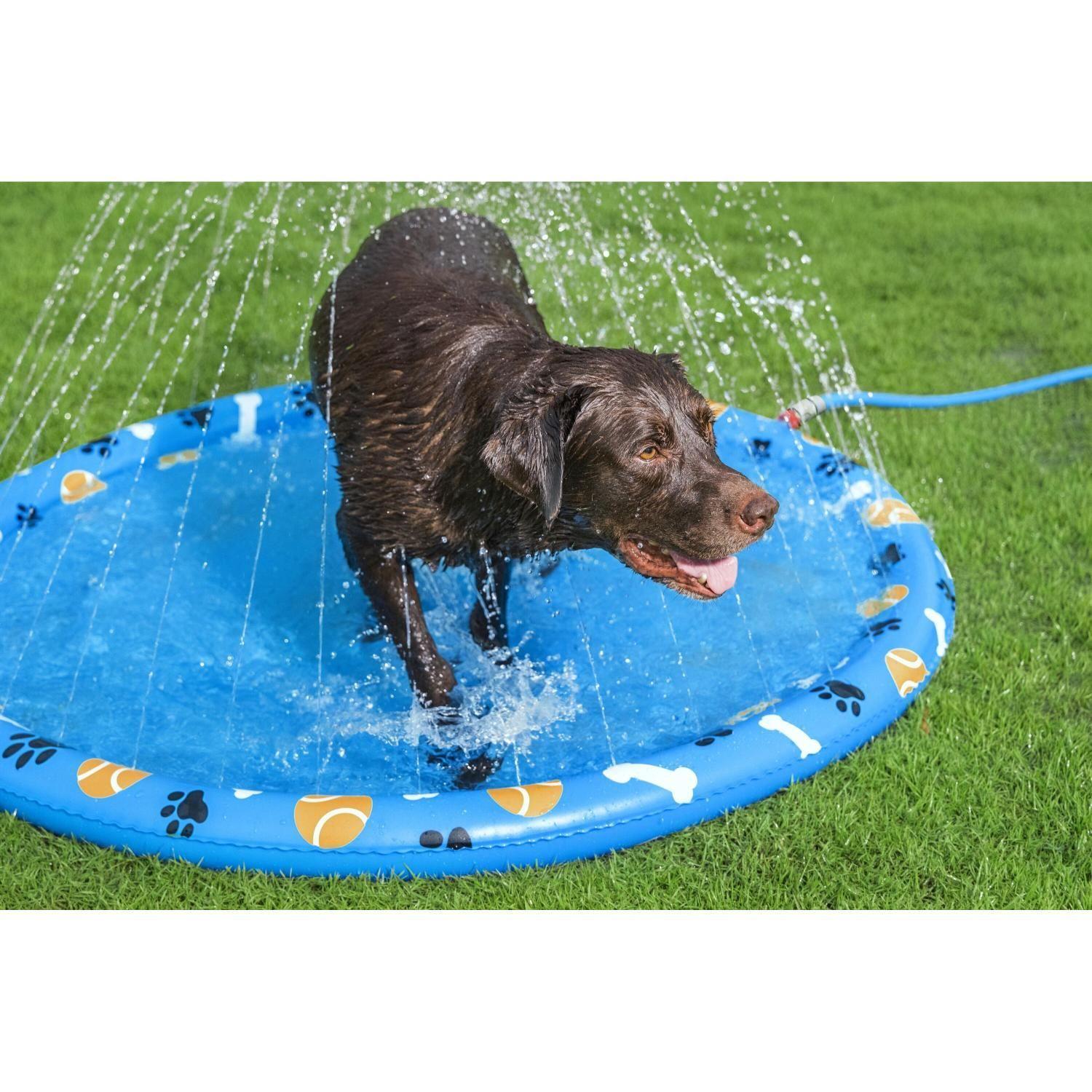 Piscina de Juegos Reforzada para Mascotas 1,47m Bestway-5