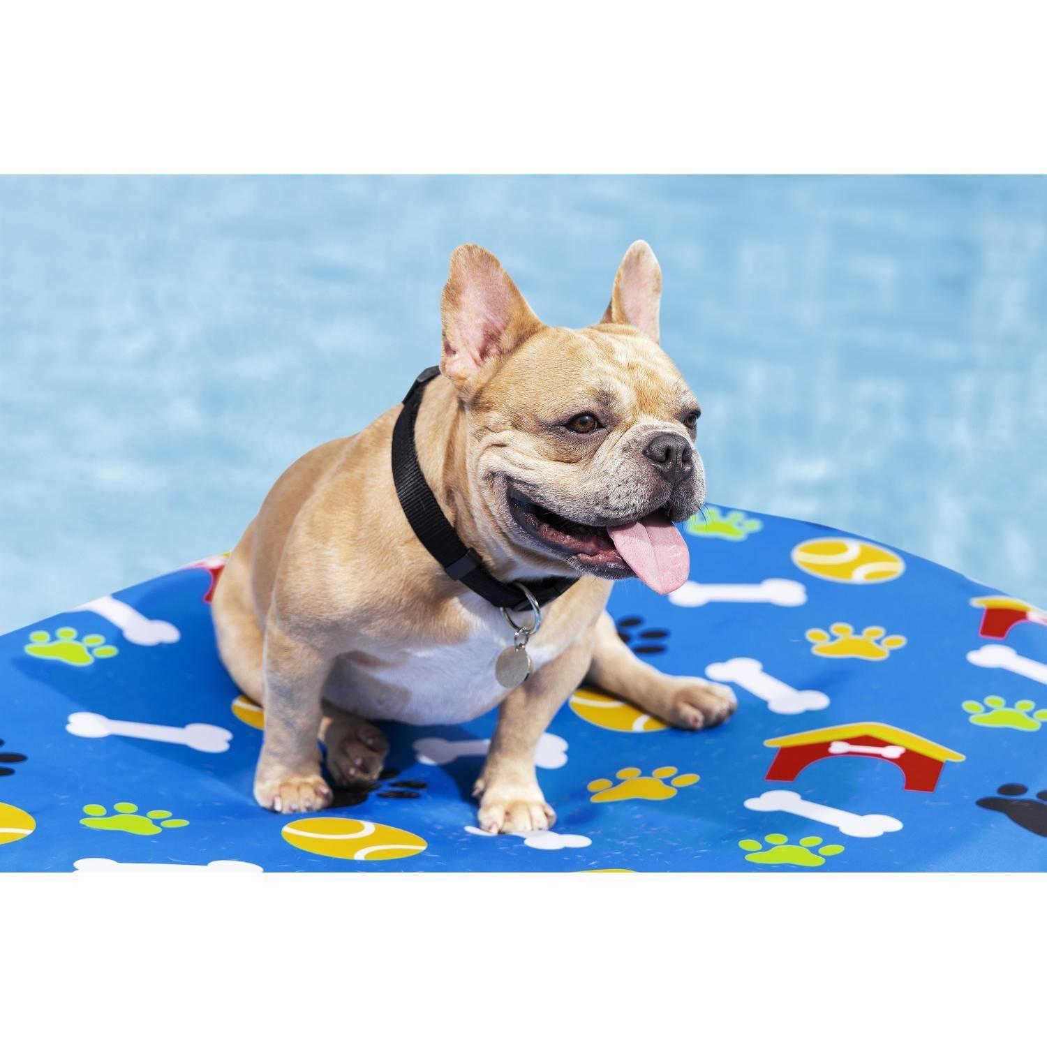 Flotador Reposera Inflable Reforzado Para Mascota 42x95x17cm-2