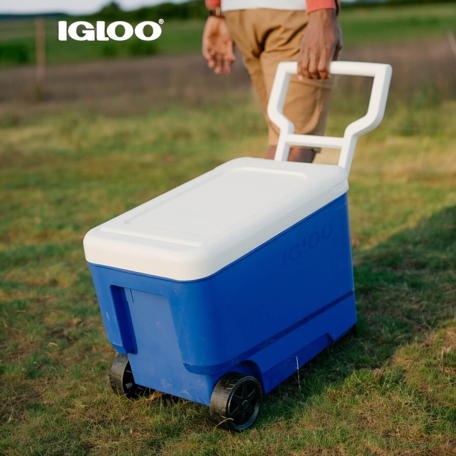 Cooler Nevera Hielera con Ruedas Wheelie Azul 36Litros Igloo-2