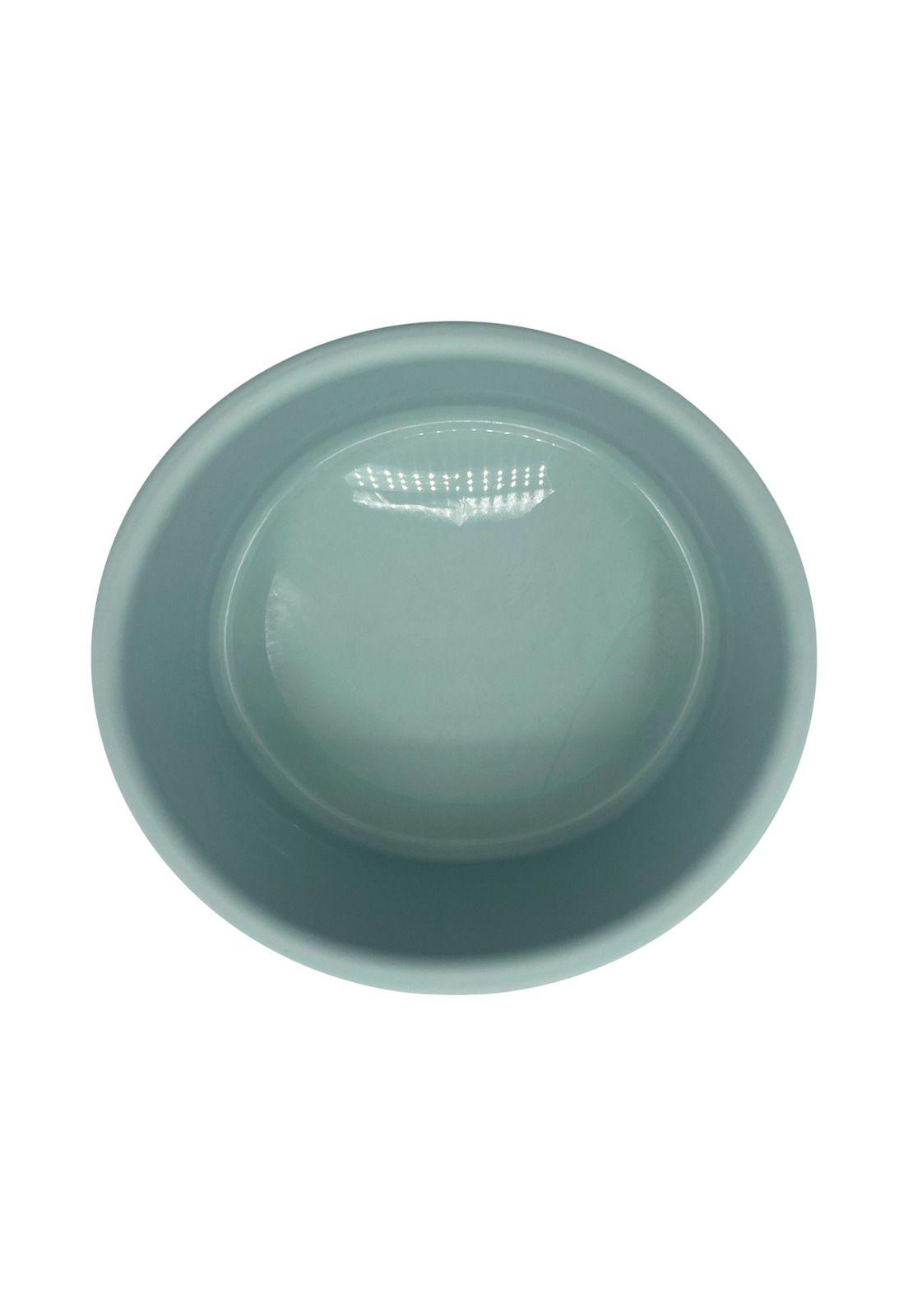 Plato Comedero Bebedero Para Mascota 1 L Menta Cool Pets-3