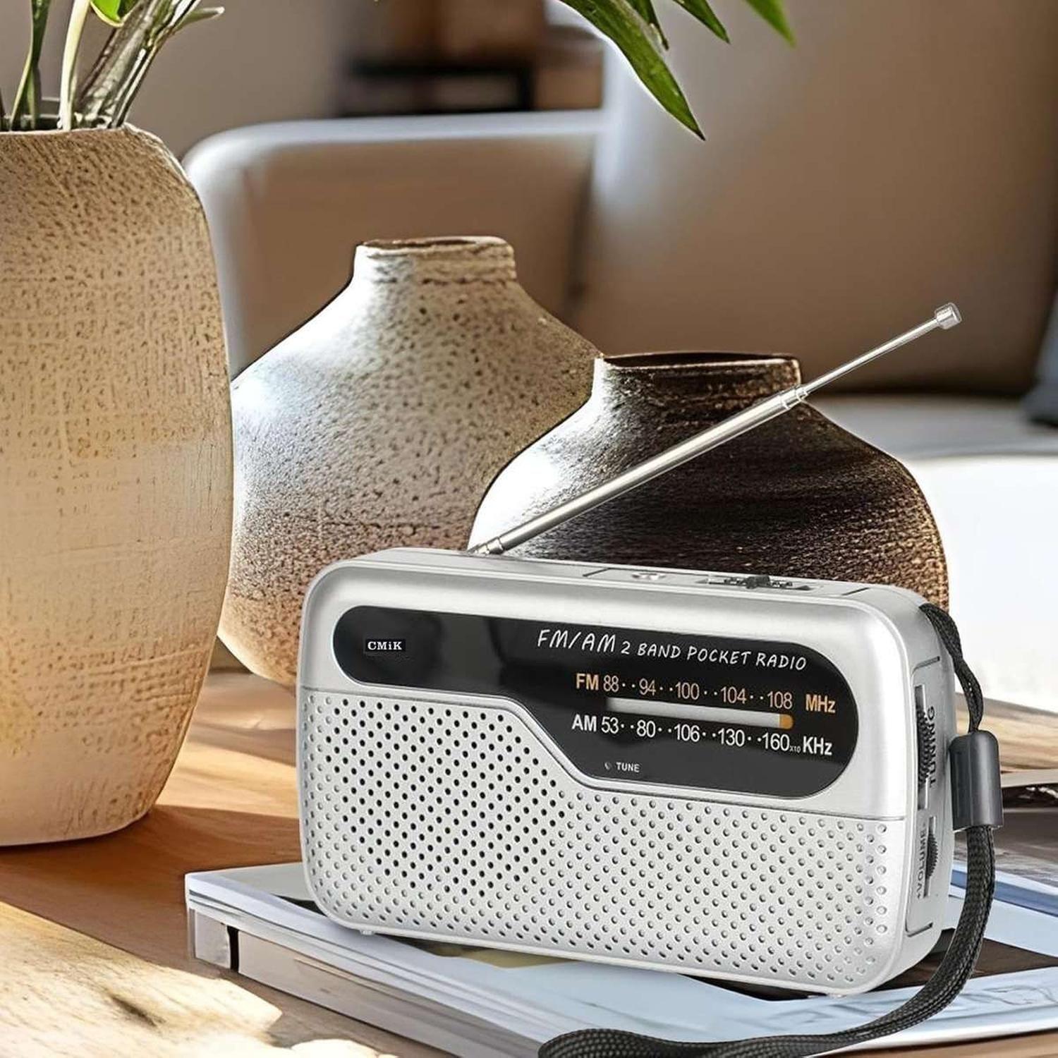 Radio Portatil De Mano A Pilas Am Fm Diseño 6-5