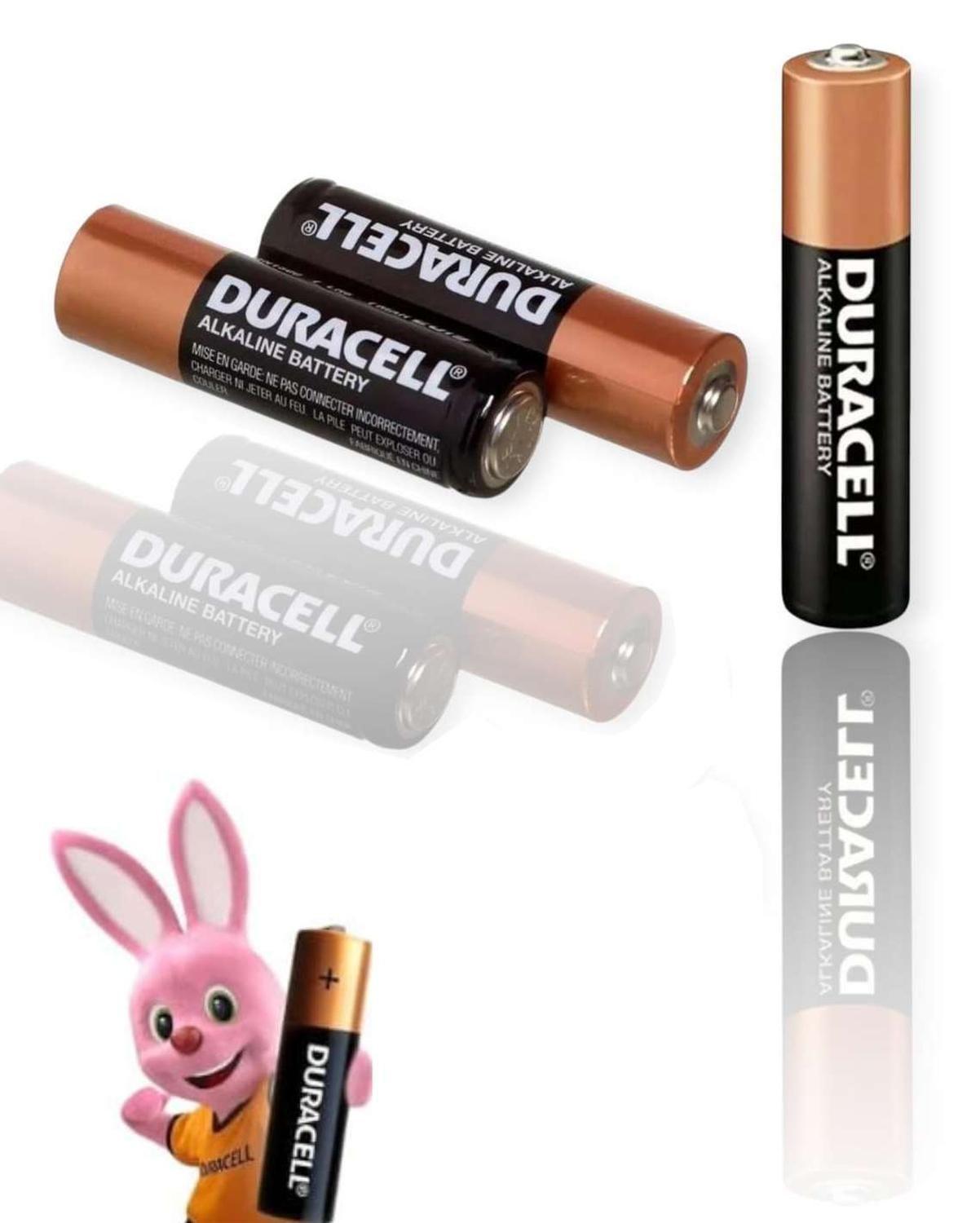 Blister Tira De 12 Pilas Alcalina Aaa Duracell 1,5v-2