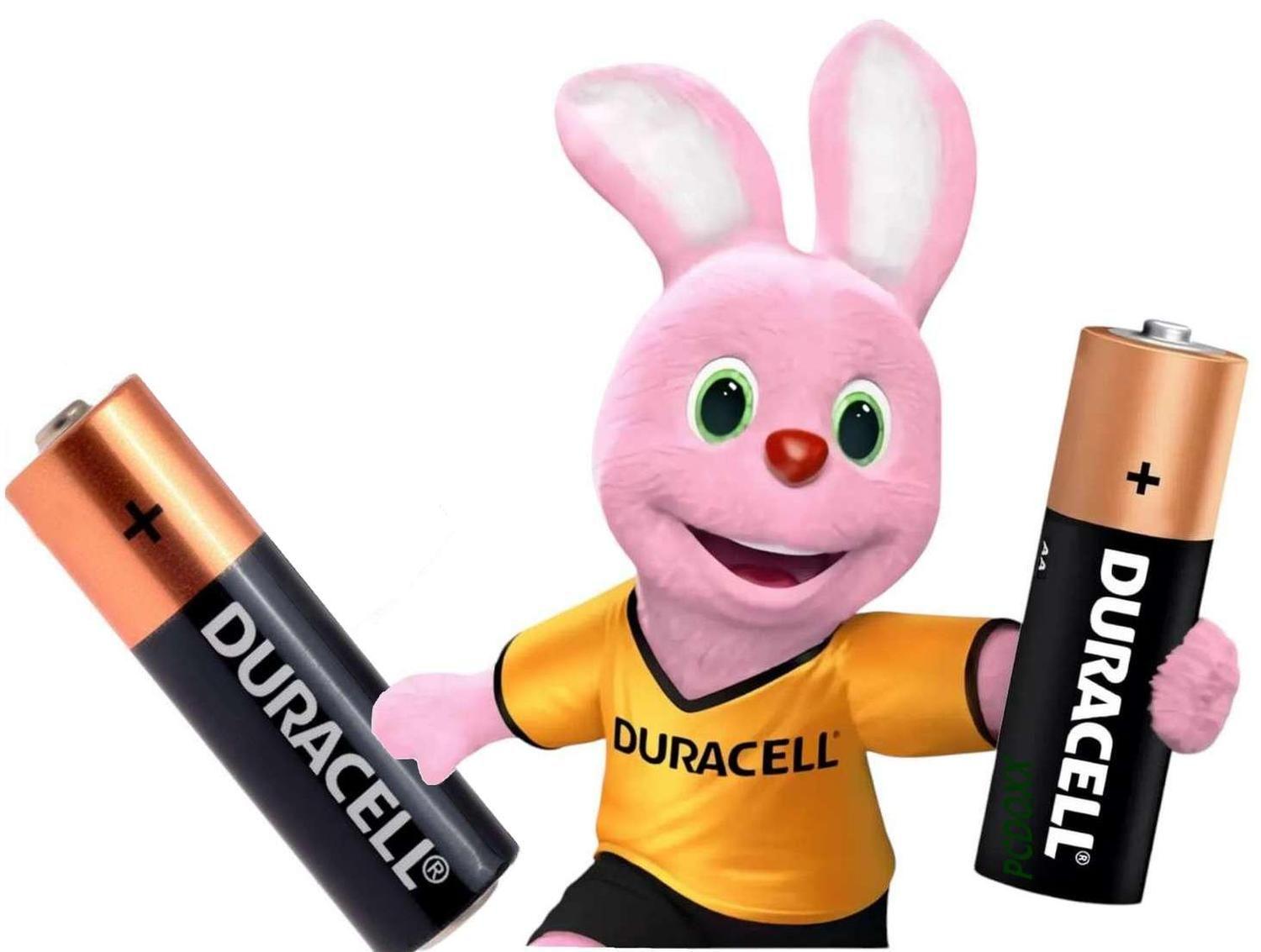 Tira 12 Pilas Duracell Aa Alcalinas 1,5v Blister Comercio-3