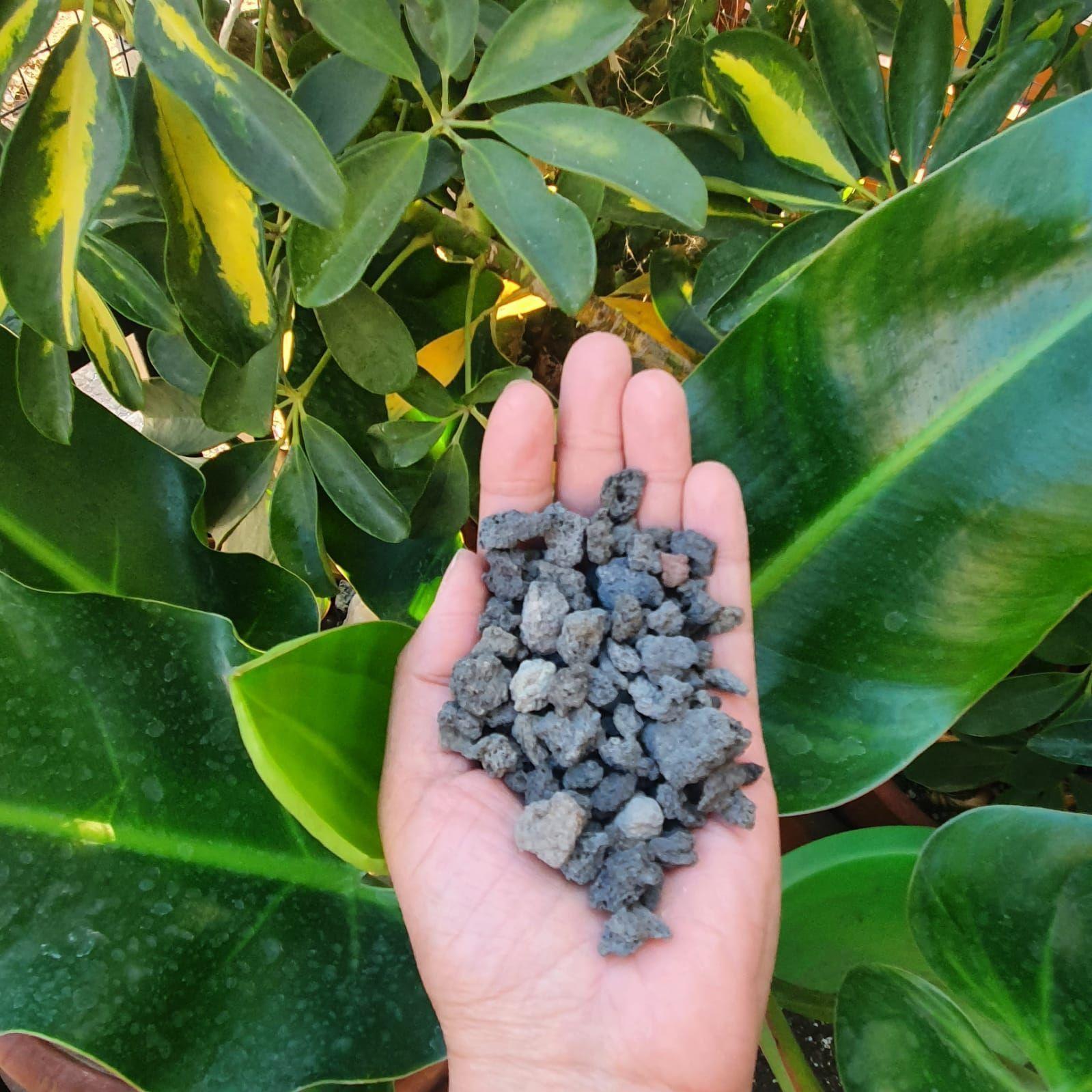 PIEDRA VOLCANICA. GRAVILLA. 1 LTS-2