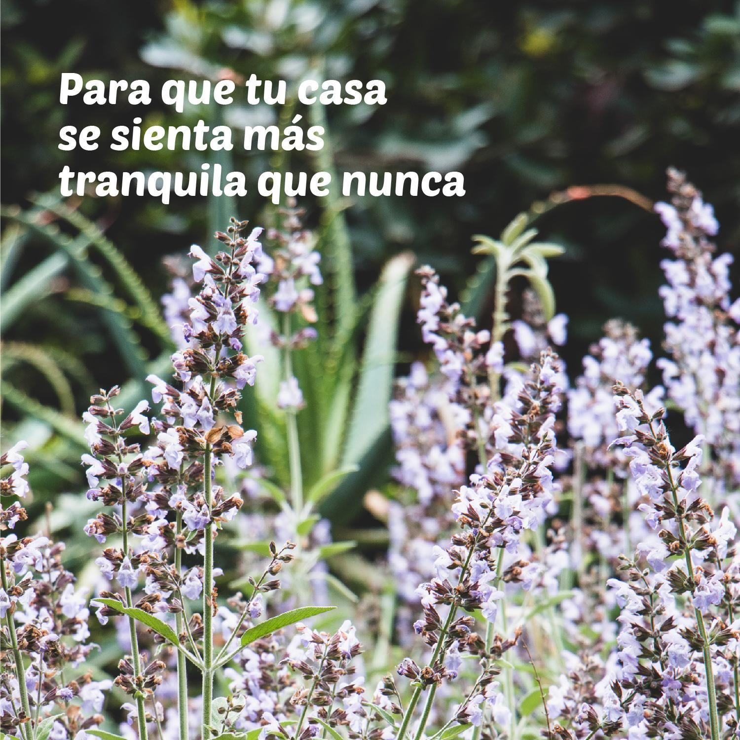 Aromatizante Ambiental Aerosol Tía Clarita - 24 uds-2