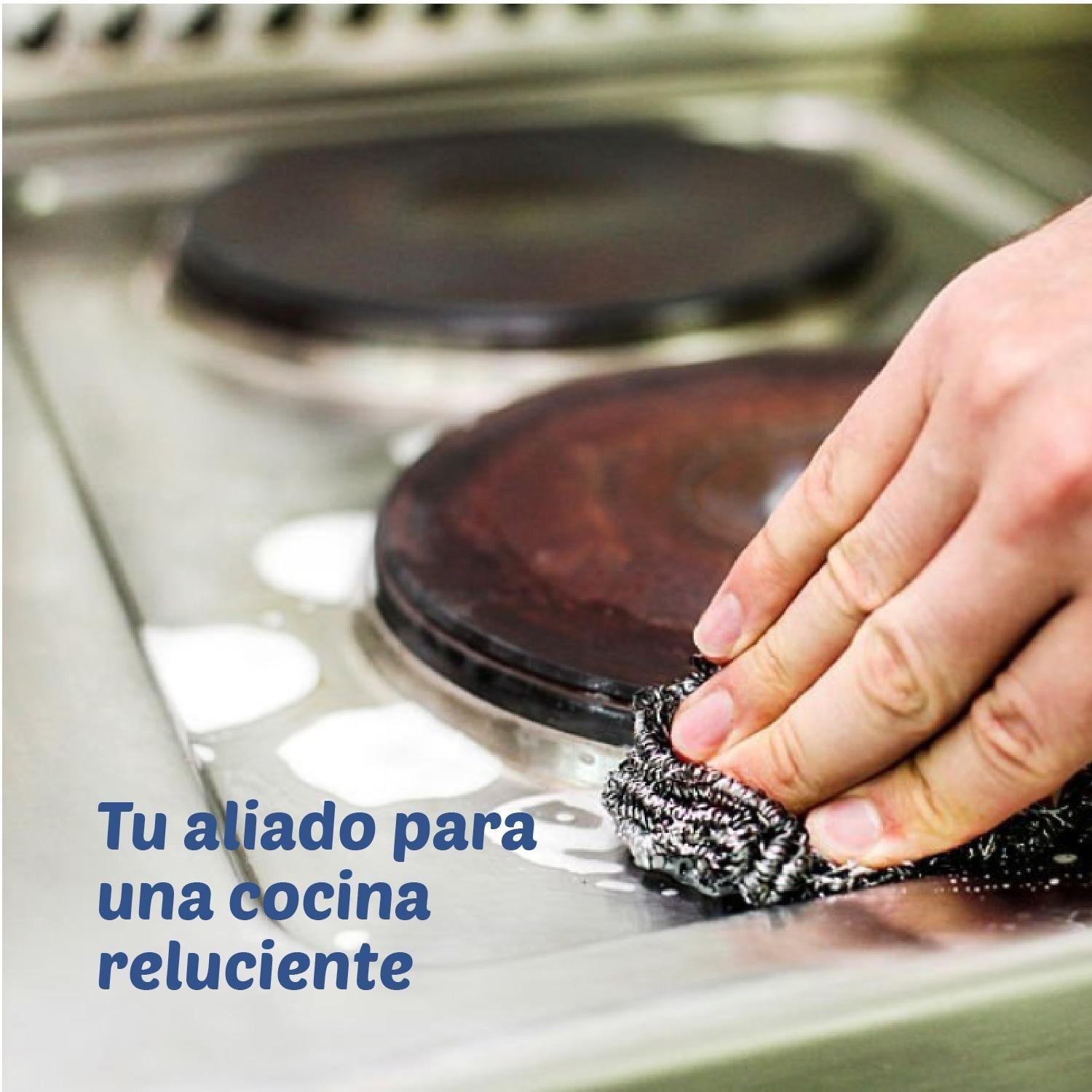 Virutilla Esponja Metálica Tía Clarita – 6 uds-3