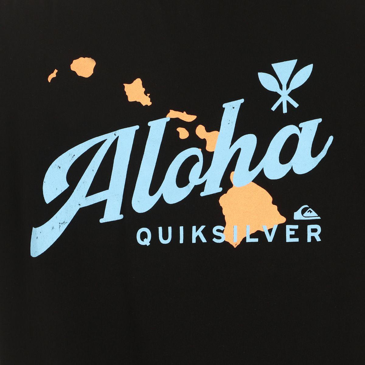 Polera Quiksilver Hi Parallels Hombre Black-4