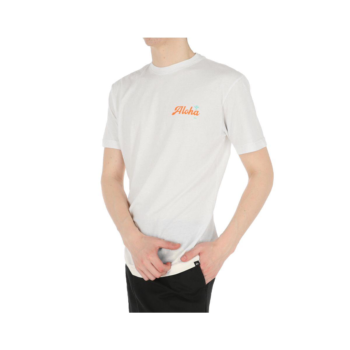 Polera Quiksilver Hi Parallels Hombre Snow White-1