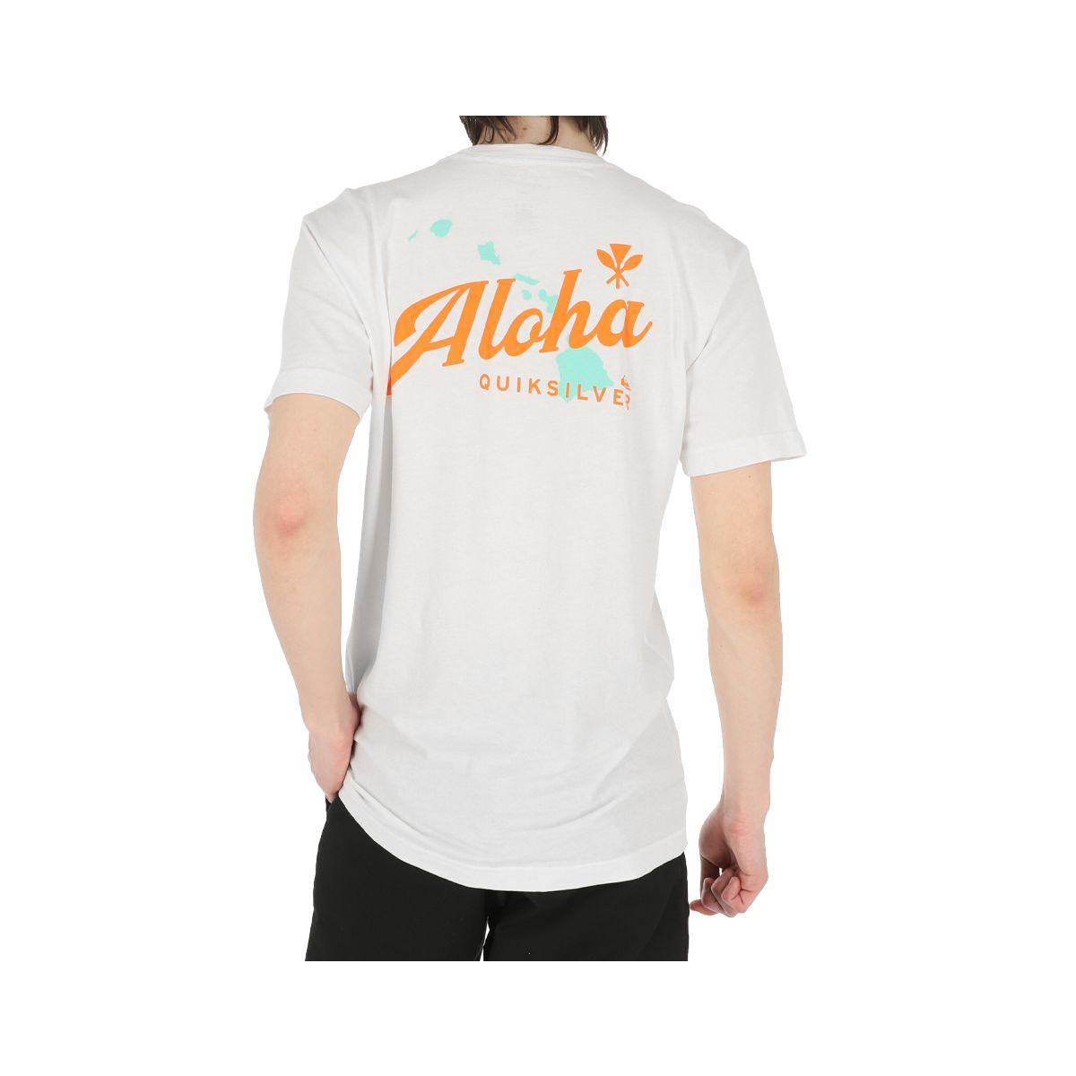Polera Quiksilver Hi Parallels Hombre Snow White-3