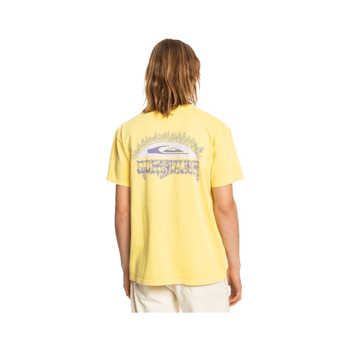 Polera Quiksilver Baked Hombre Lemon Zest-2