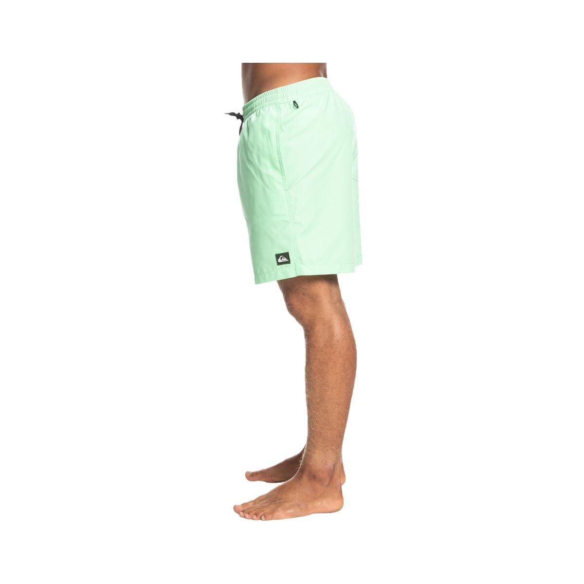 Shorts Quiksilver Everyday 17'' Hombre Mint-1
