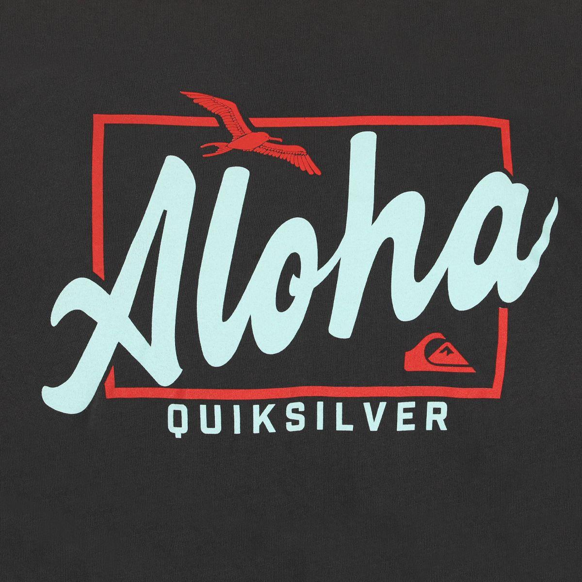 Polera Quiksilver Hi Taking Flight Hombre Tarmac-4