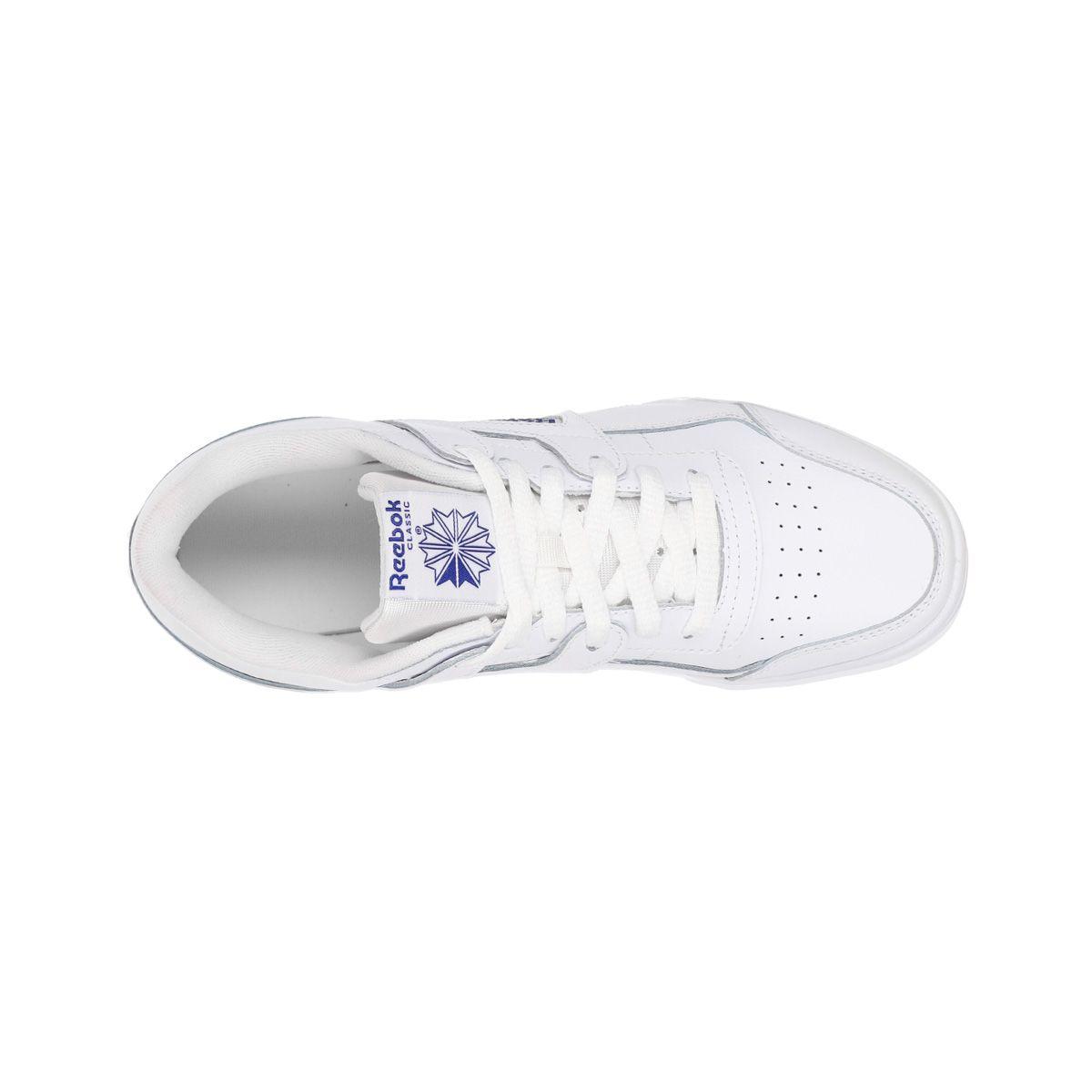 白竜 / POSITIVE SKECHERS CHILE