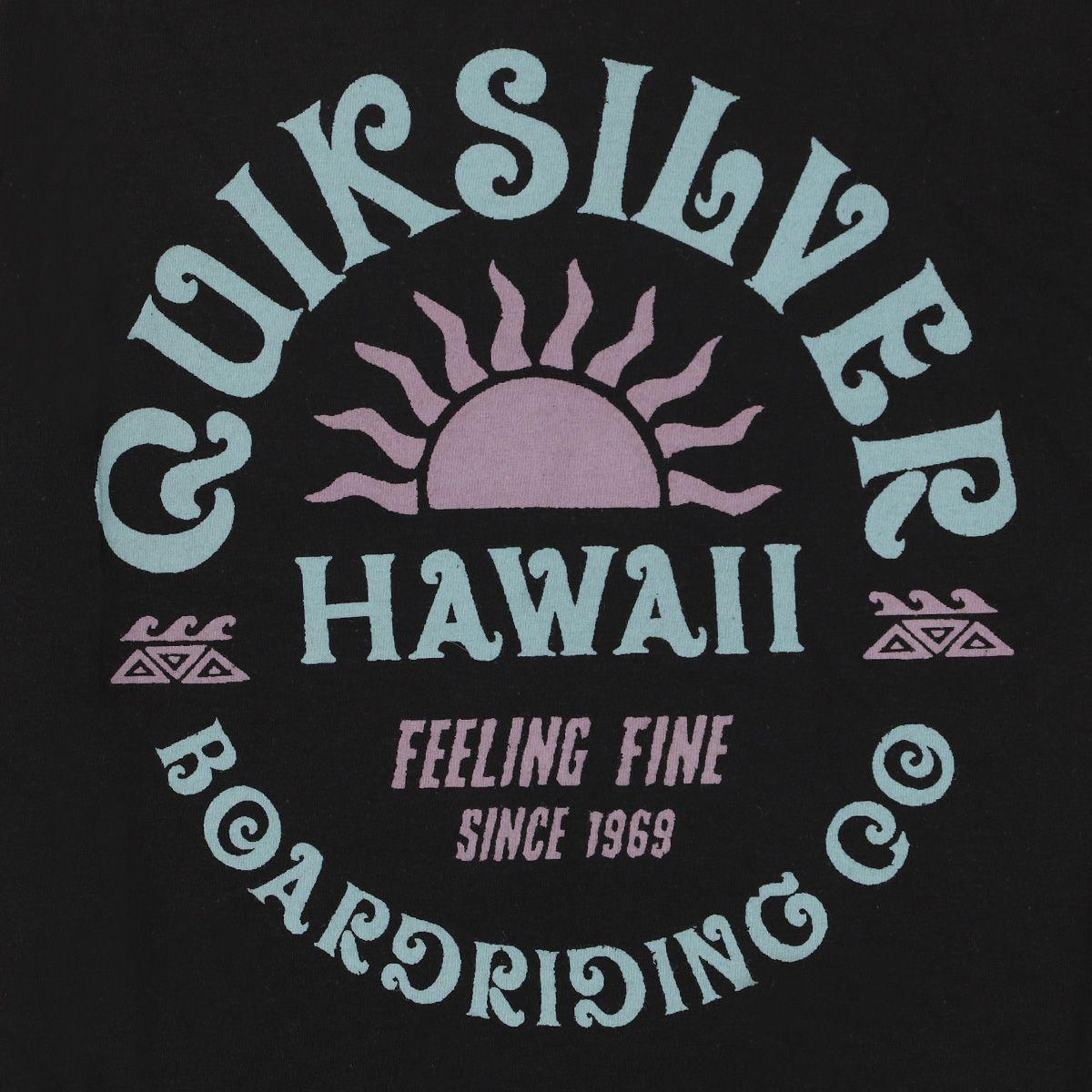 Polera Hombre  Quiksilver Sunshine Negro-4