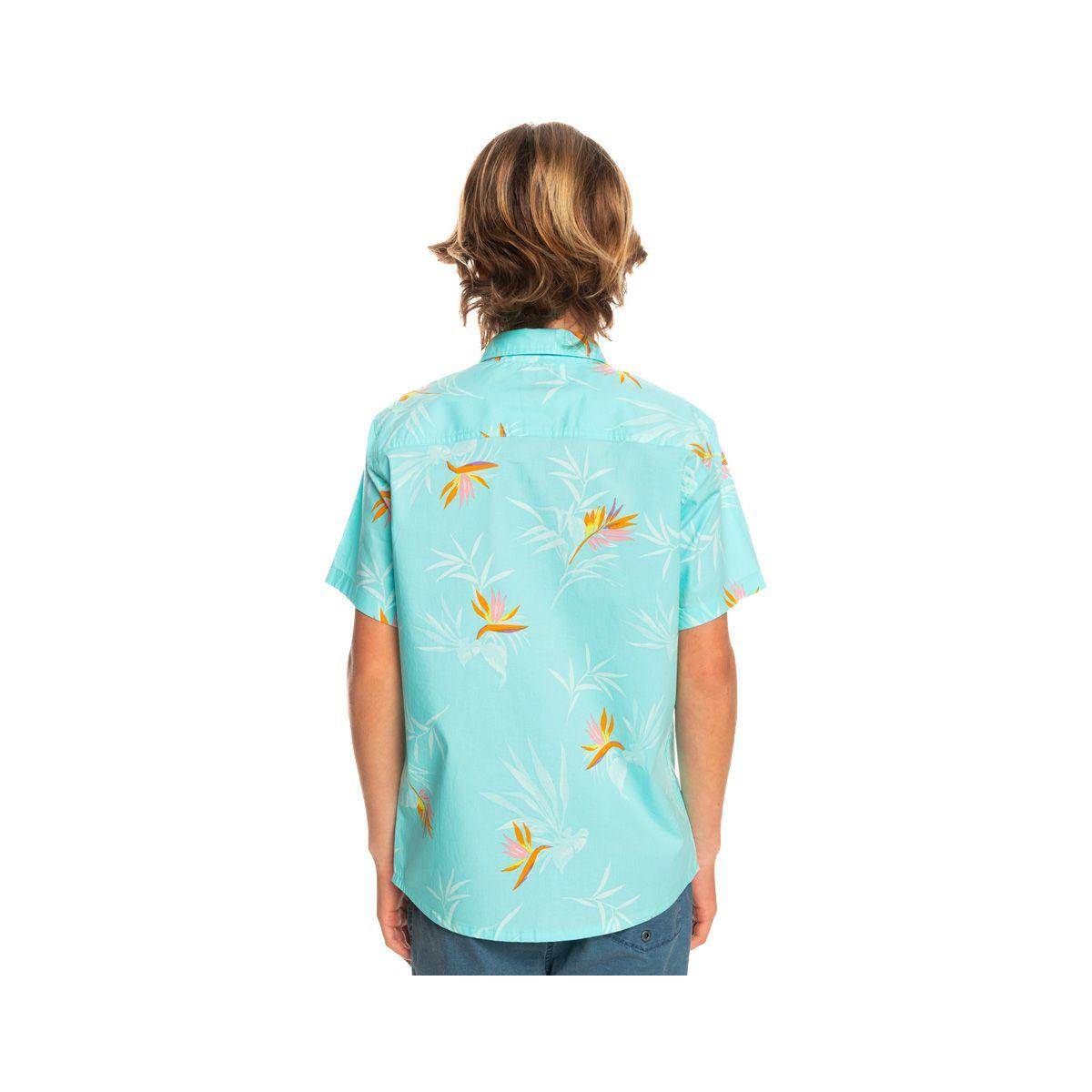 Camisa  Quiksilver Offline (8 - 16 años) Niño  Stretch White-2