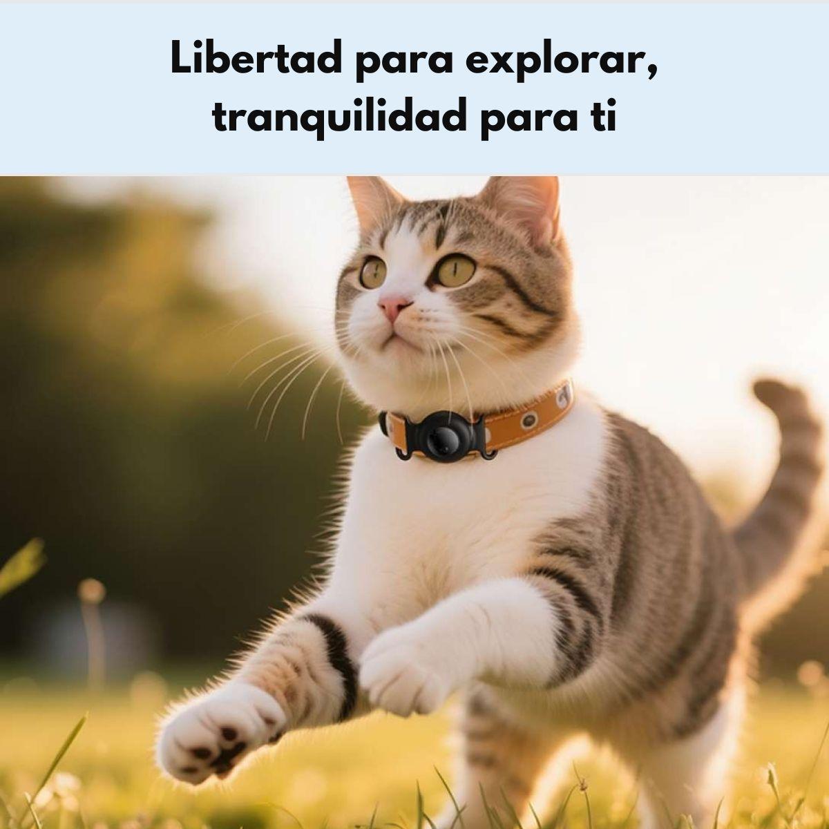 GPS Mascotas HOCO E91C Bluetooth Compatible con Apple-5