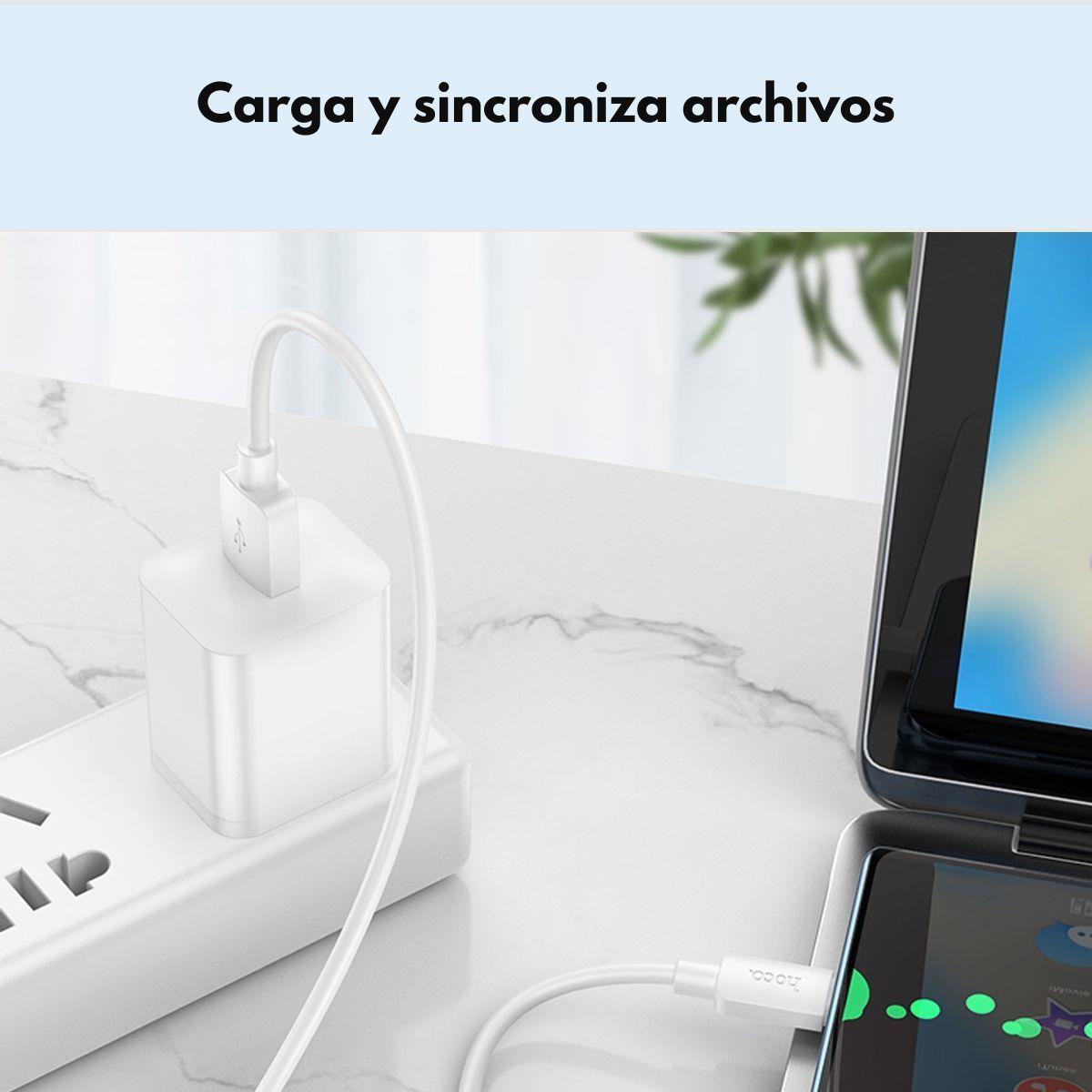 Cable usb Hoco con entrada USB salida Tipo C-2
