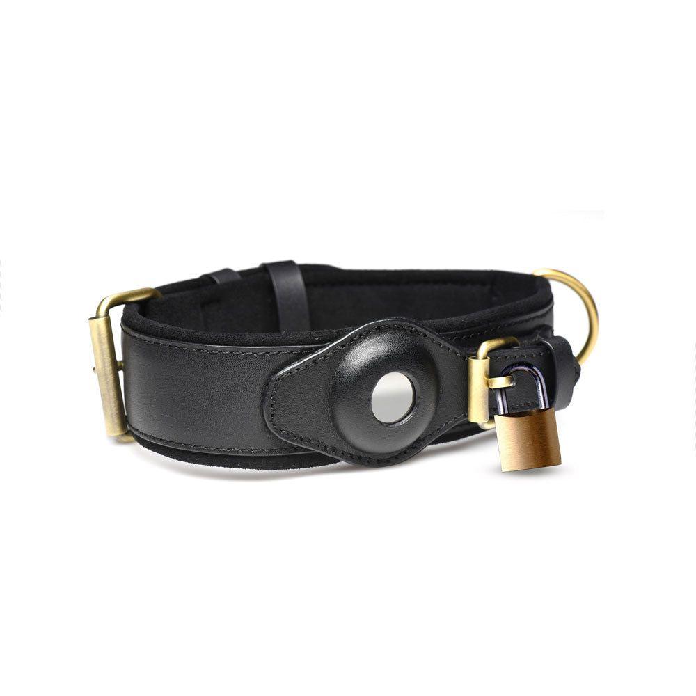 Collar de rastreo-0