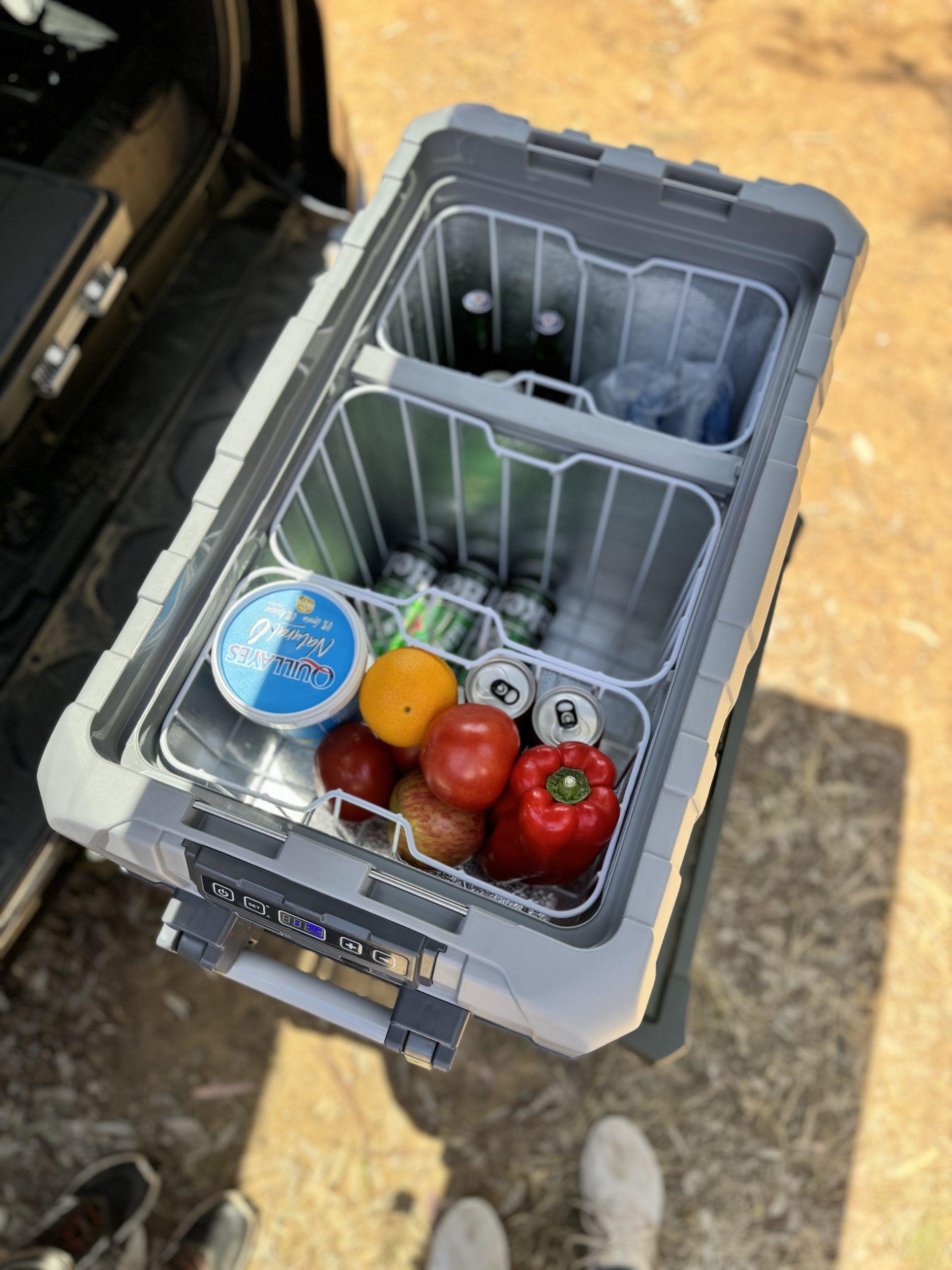 Cooler Wild Freeze Max PRO 50L-6