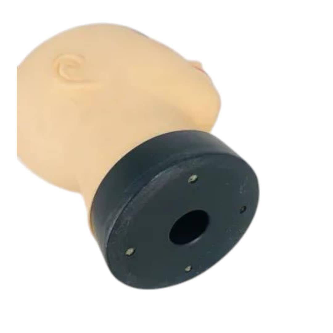 Cabeza Exhibidora Masculina-1