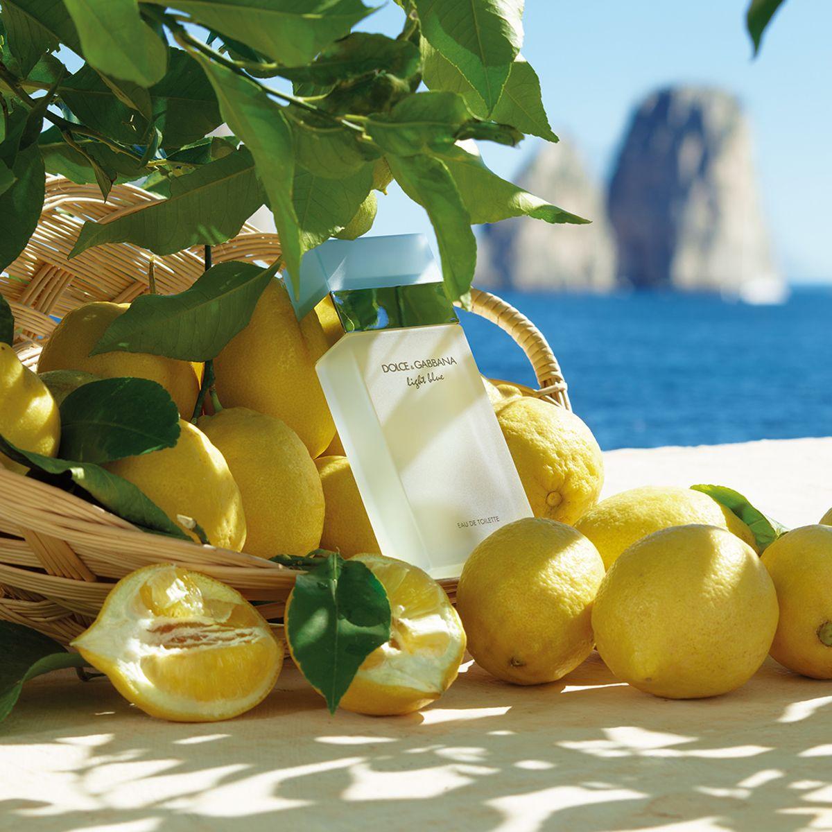 Dolce & Gabbana Light Blue EDT 100ML Woman-2