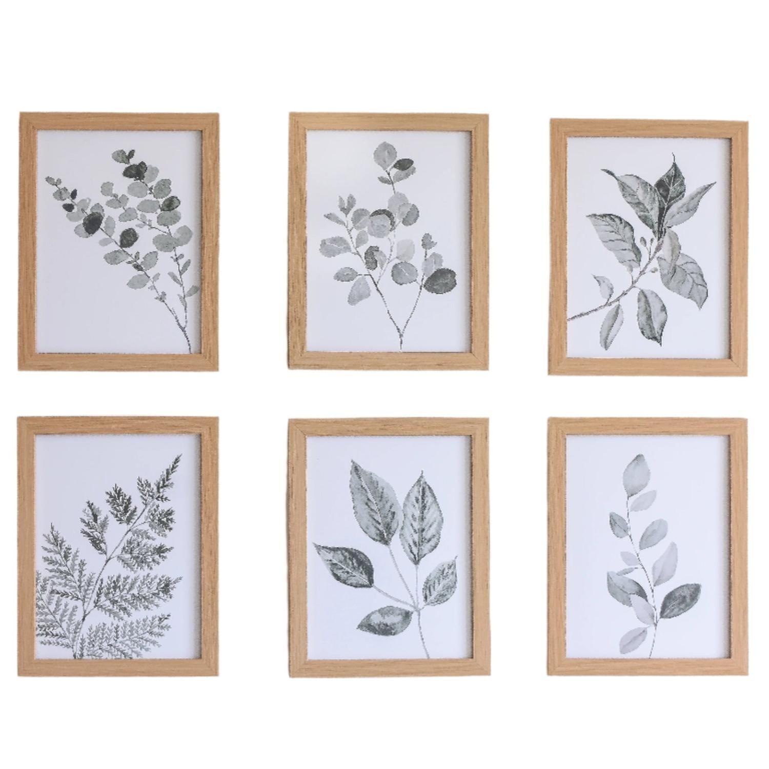 Set 6 Cuadros decorativos Botánico leaf-0