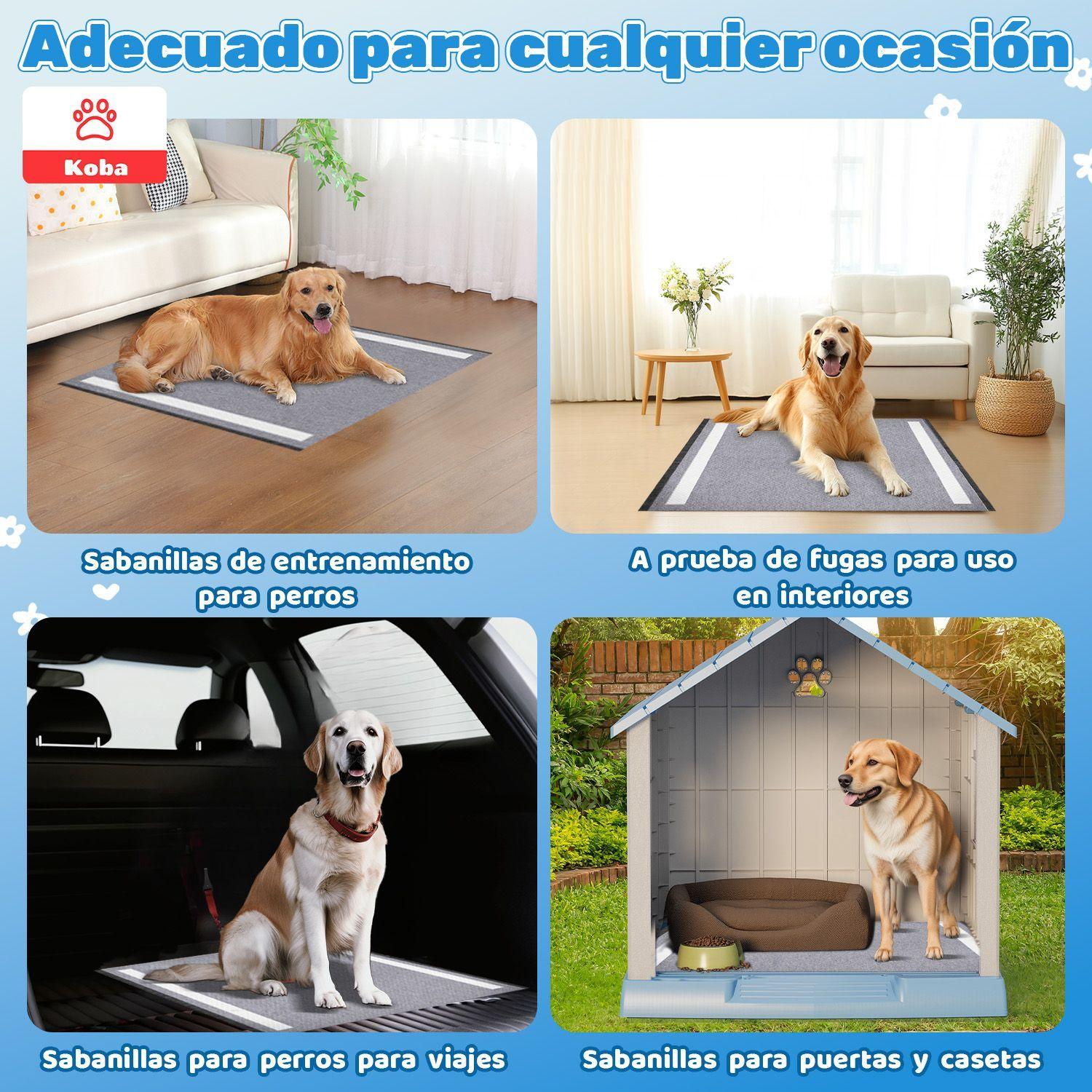 40 Panales Perro Sabanillas Entrenamiento De Carbon 60x60cm-2