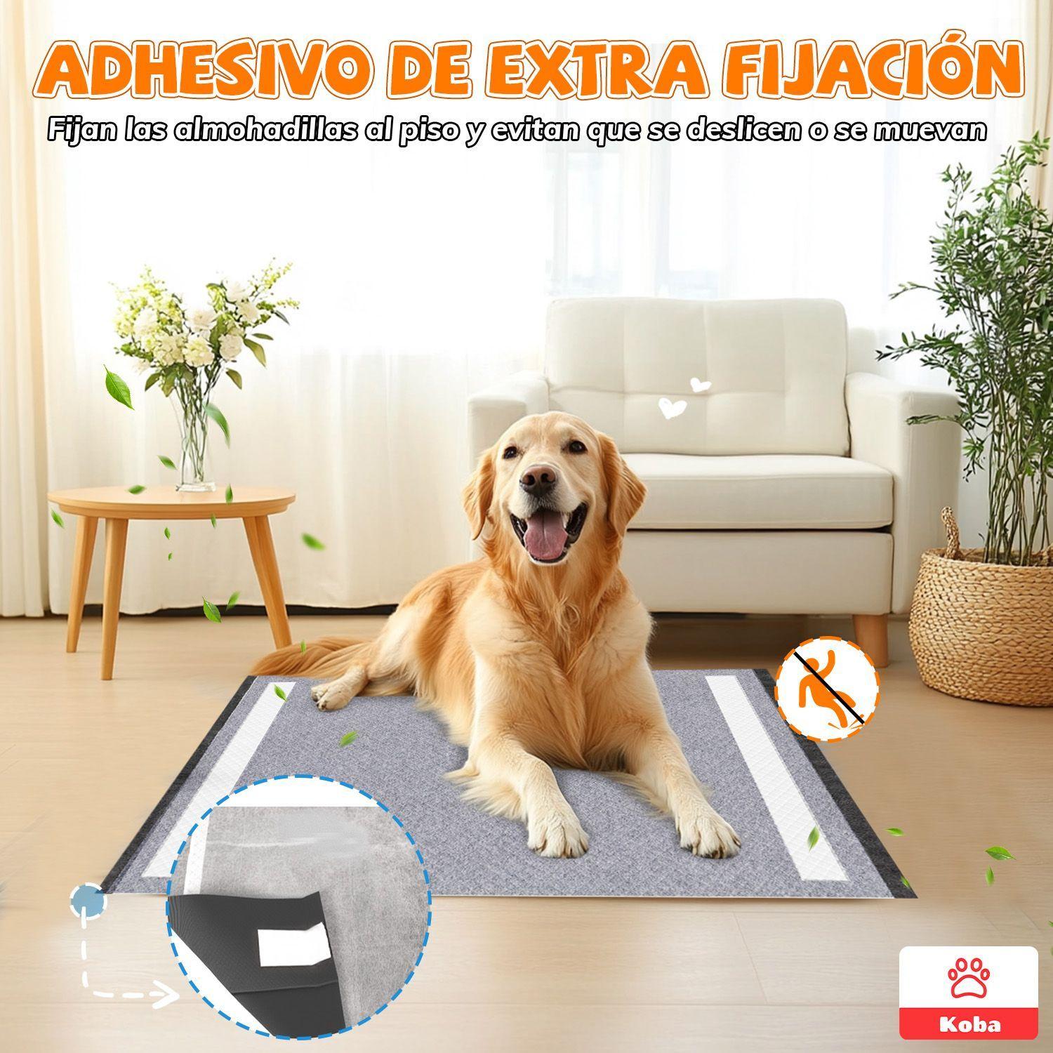 40 Panales Perro Sabanillas Entrenamiento De Carbon 60x60cm-3
