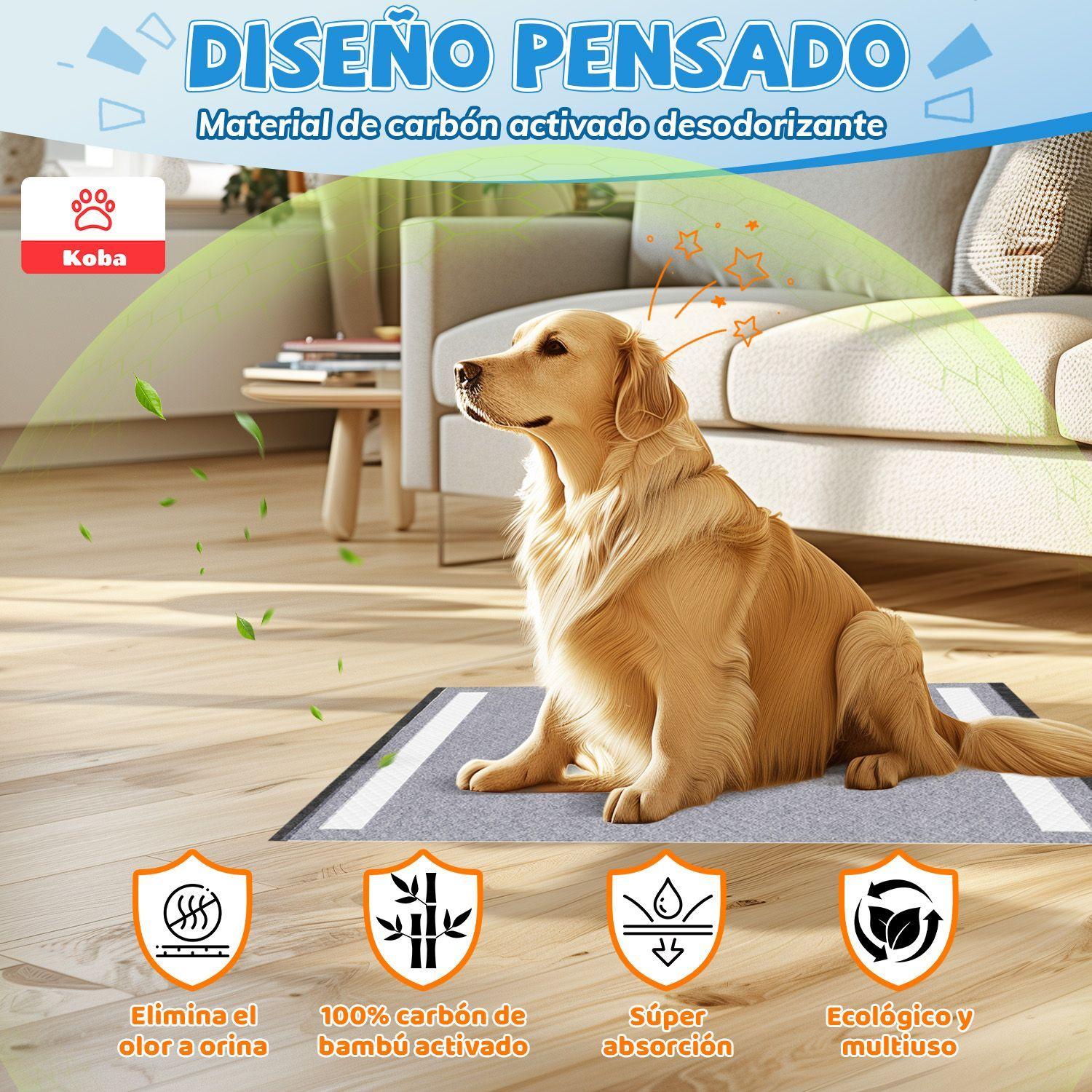 40 Panales Perro Sabanillas Entrenamiento De Carbon 60x60cm-4