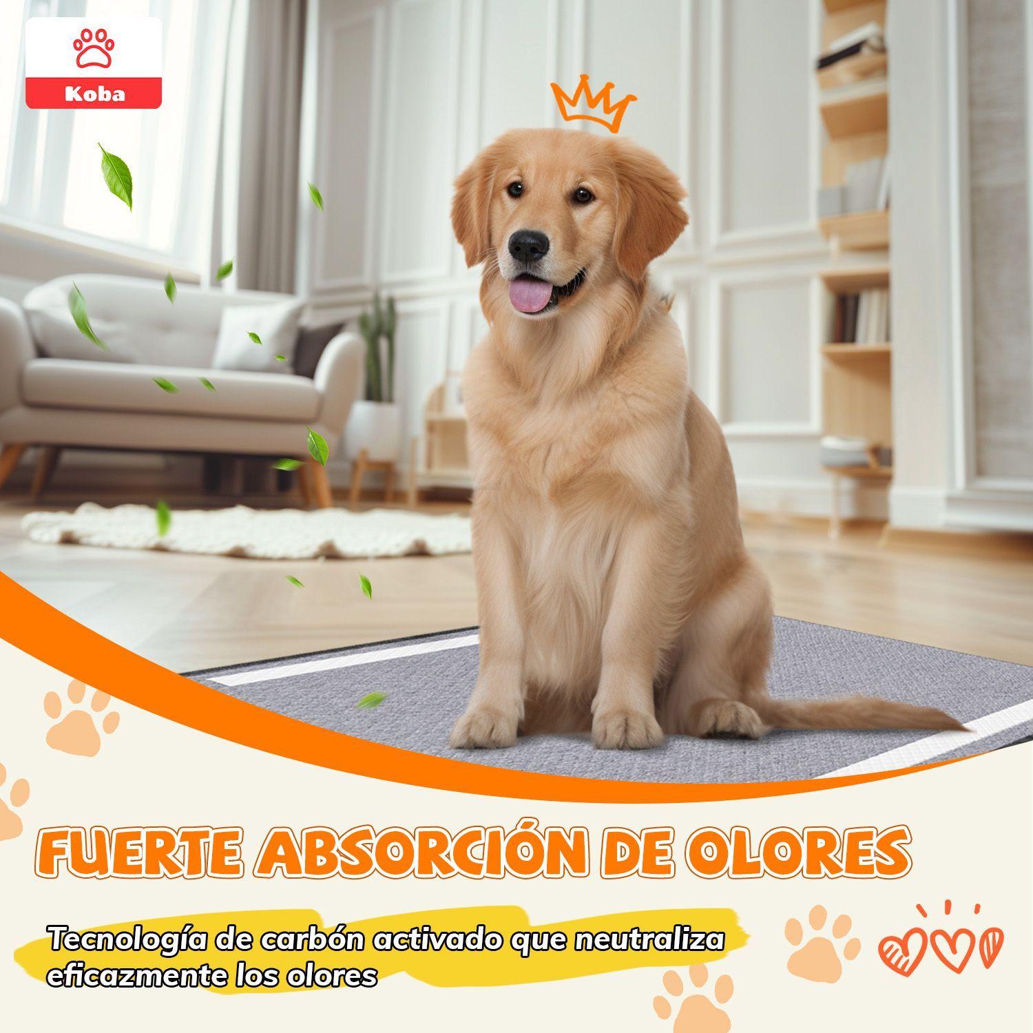 40 Panales Perro Sabanillas Entrenamiento De Carbon 60x60cm-7