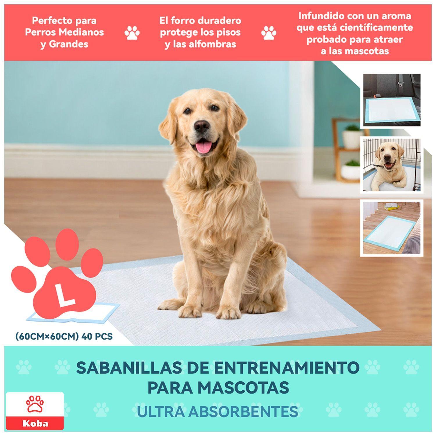 40 Panales Sabanillas De Entrenamiento Perros Grande 60x60cm-3