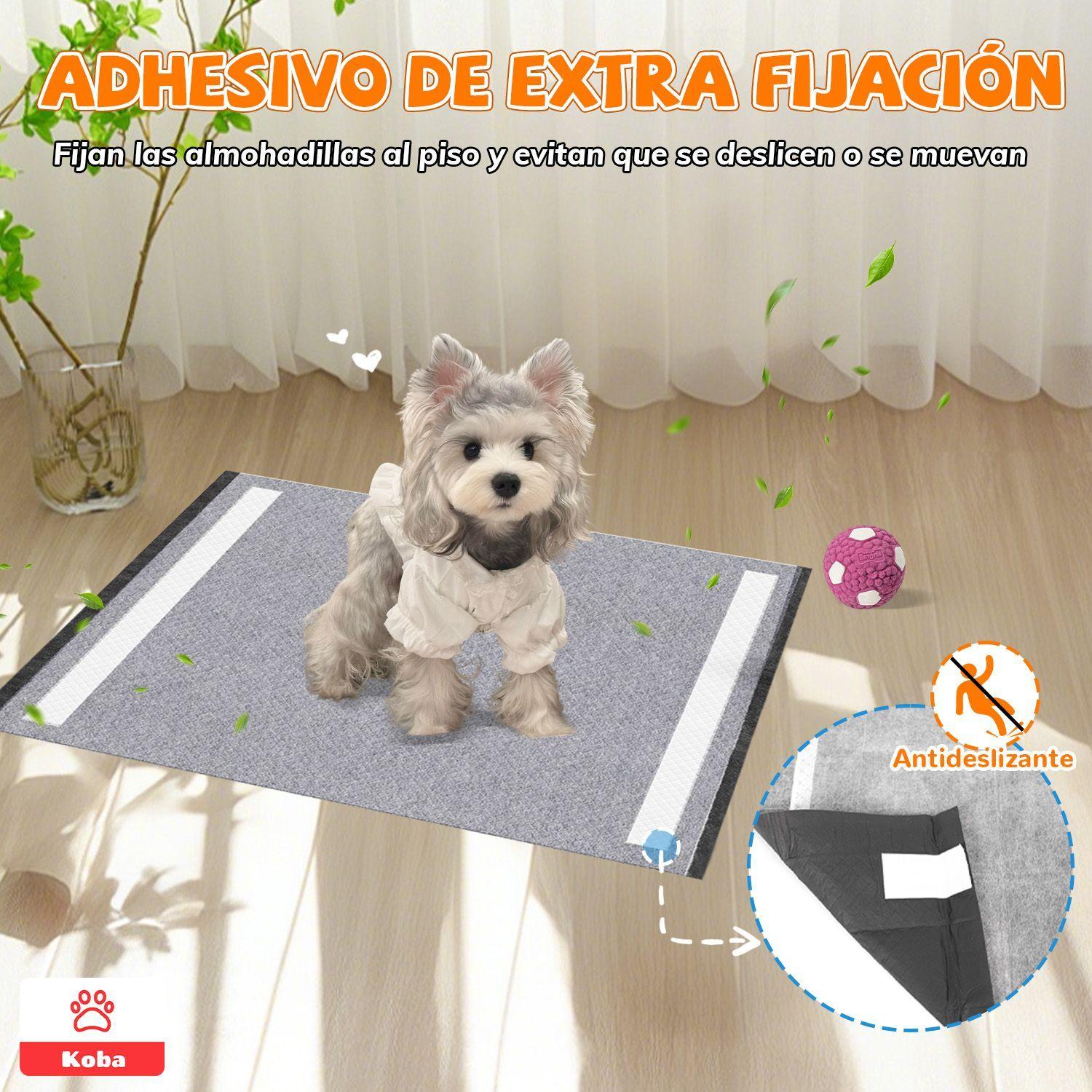 100 Panales Perro Sabanillas Entrenamiento De Carbon 33x45cm-2