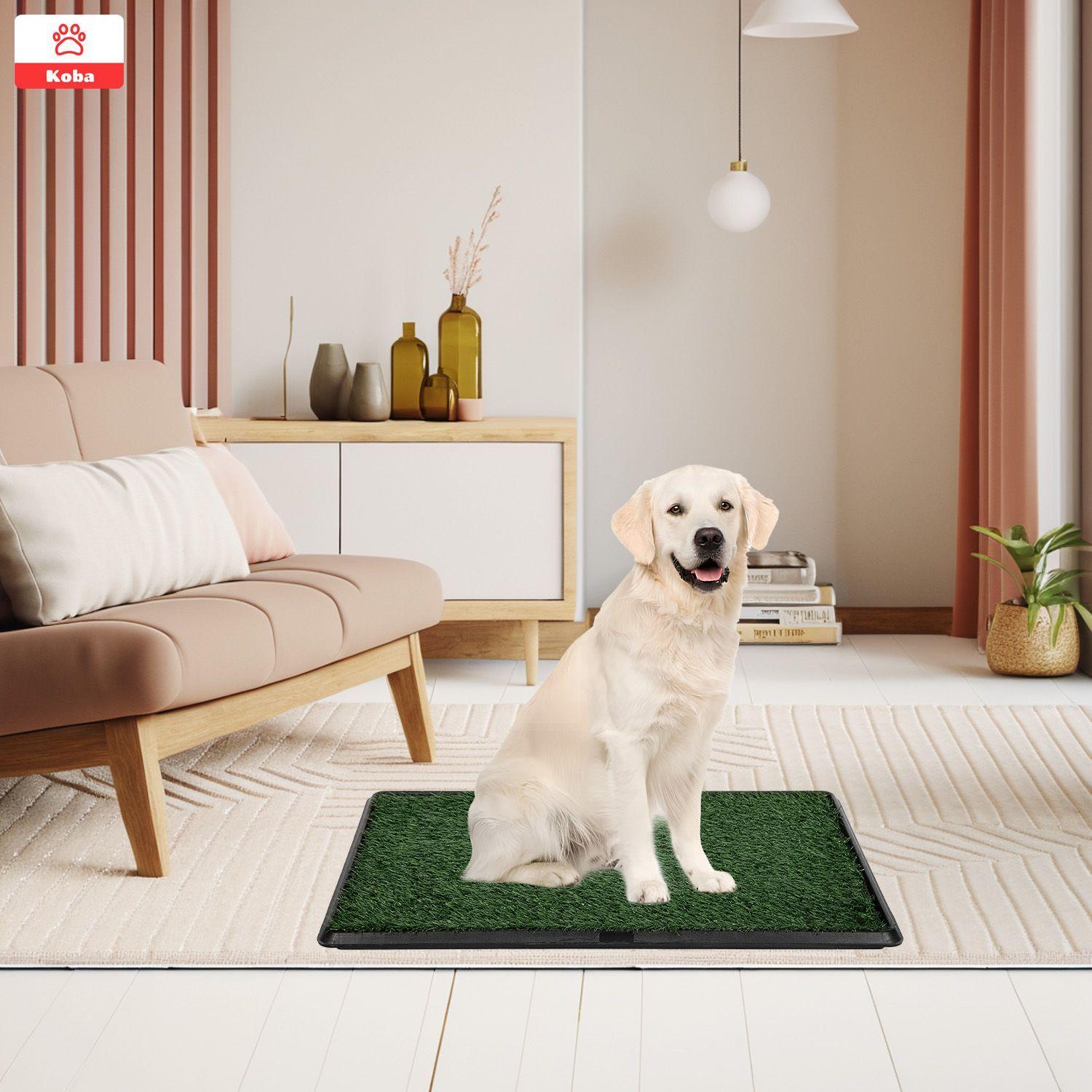 BaNo Ecologico Sanitario Perro Grande Reutilizable 75x50cm Koba-3