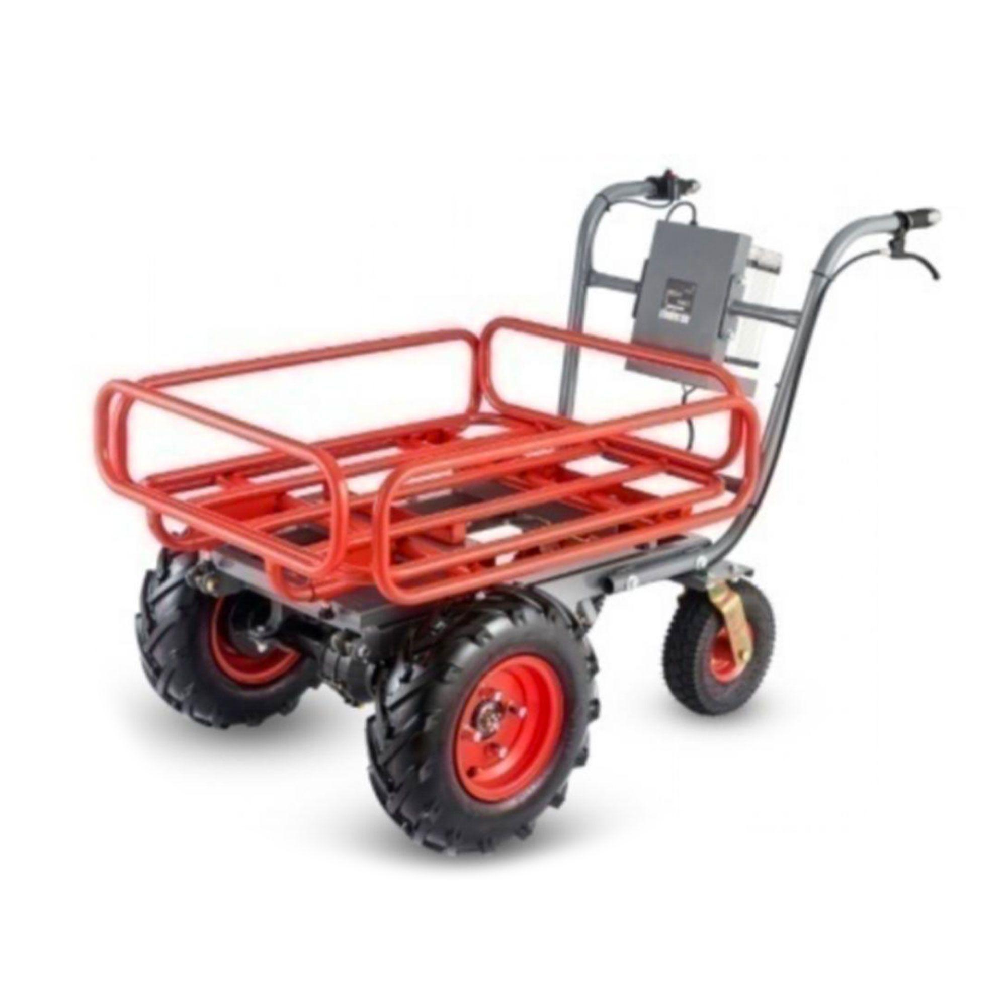 Carrito De Carga Electrico Ewd300B-T-0