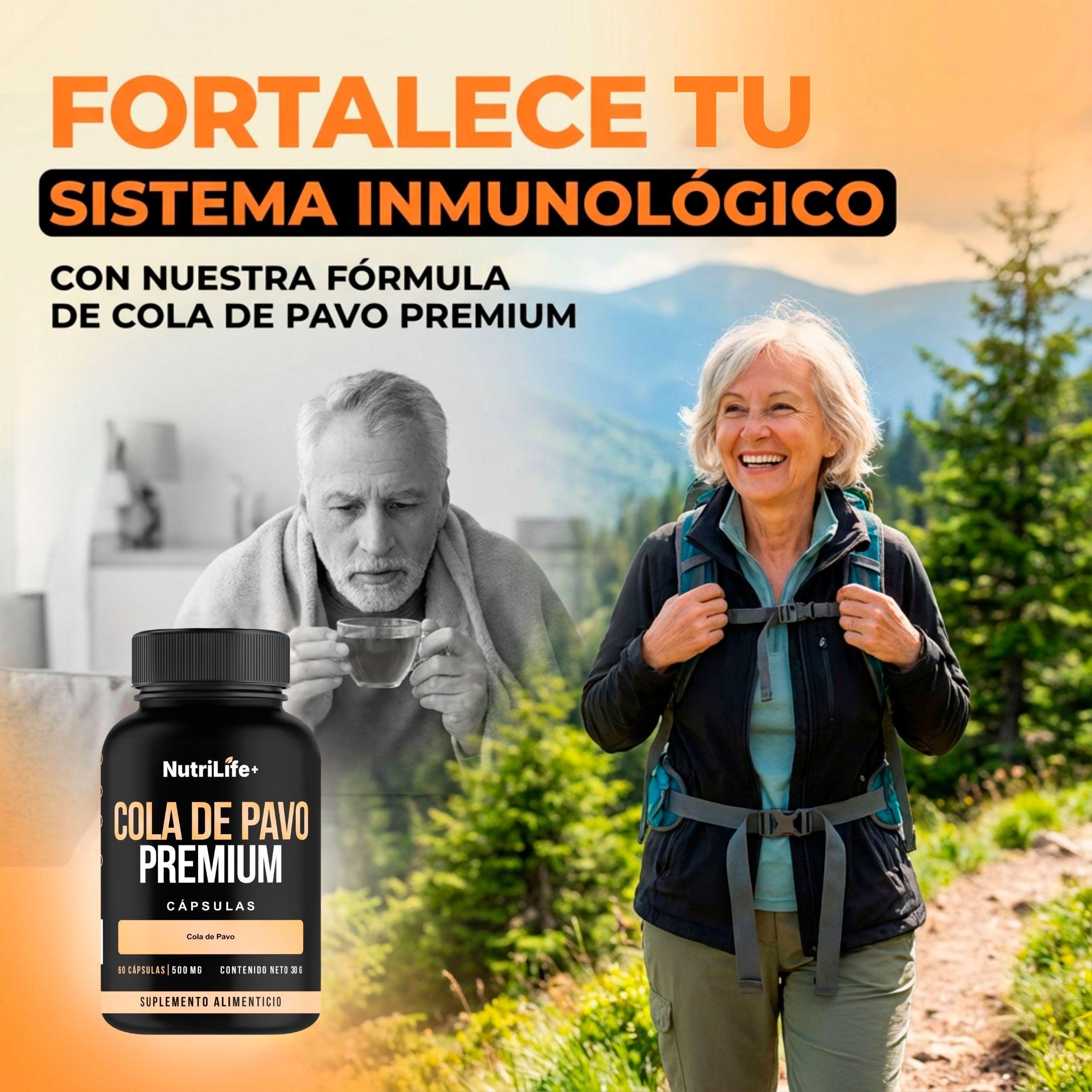 Pack 3 Cola De Pavo Mushroom 180 Capsulas 500 mg Nutrilife+ Sistema Inmune Sin Sabor-4