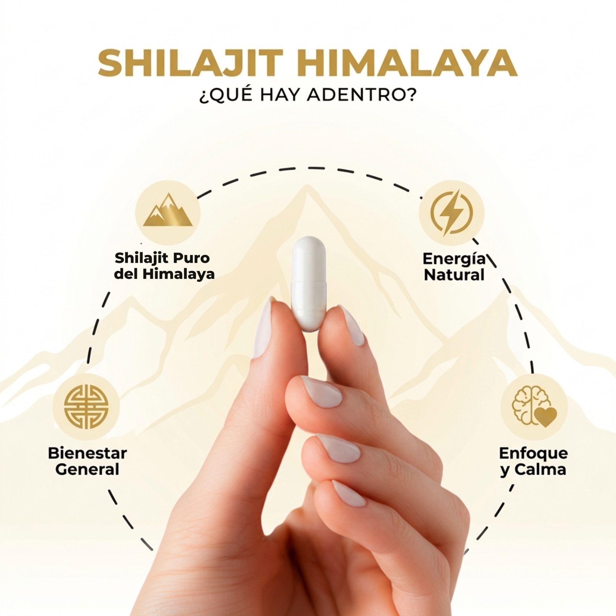 Pack 2 Shilajit Himalaya 500mg Nutrilife Suplemento Shilajit 120 Capsulas-5