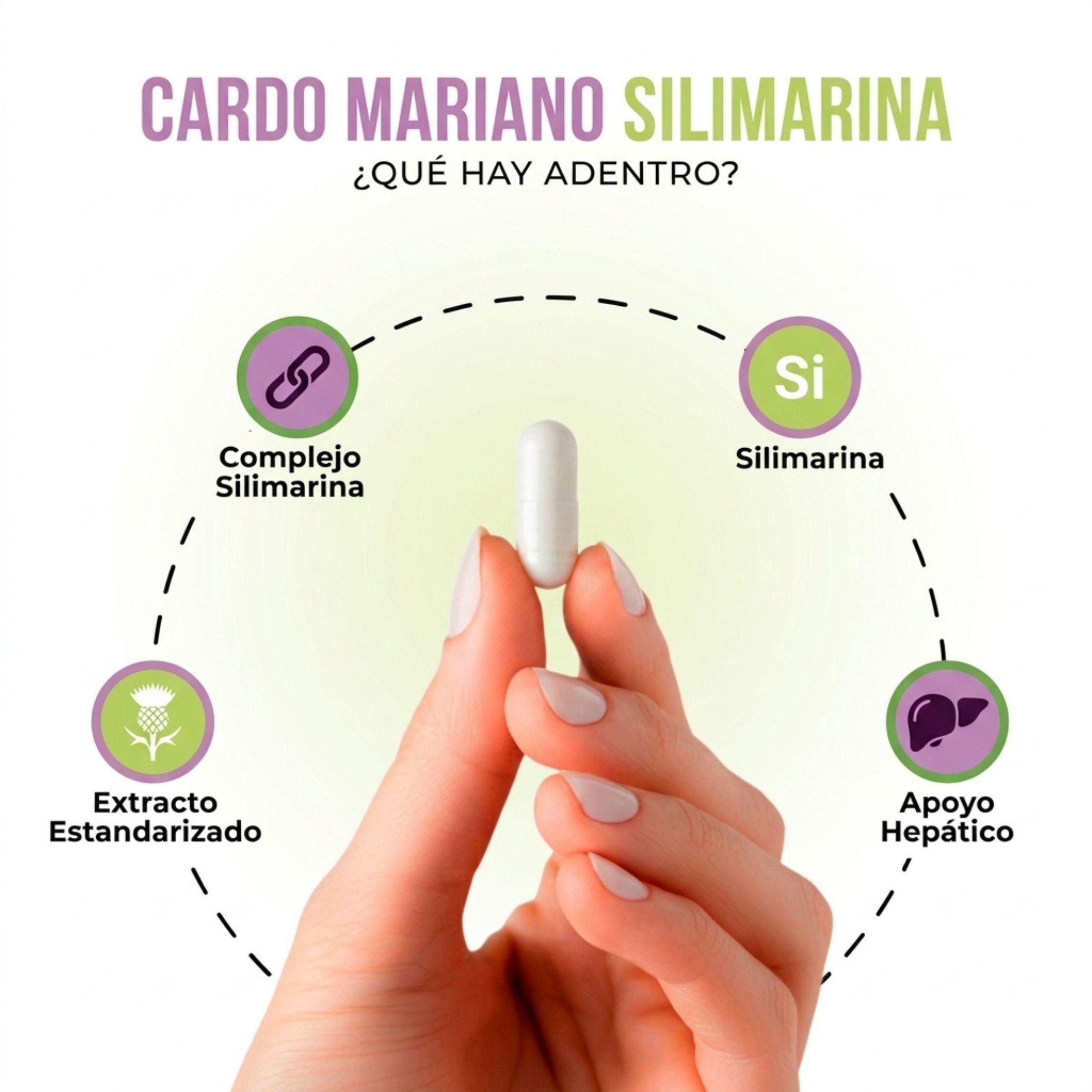 Pack 3 Cardo Mariano Capsulas 500mg Nutrilife Extracto De Cardo Mariano 180 Capsulas-5