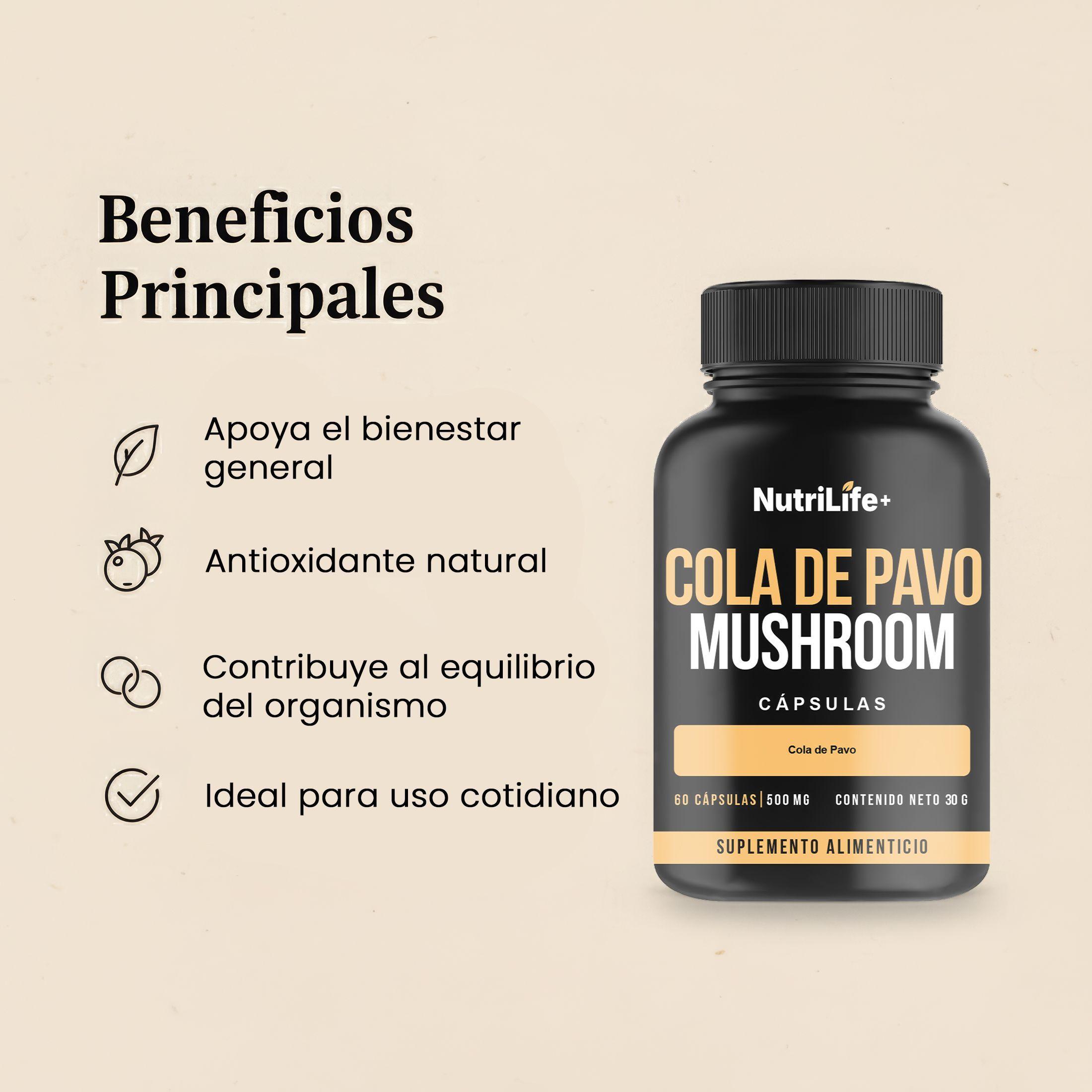 Cola De Pavo Mushroom 500mg 60 Capsulas 500mg Nutrilife+ Sin Sabor Bienestar-3