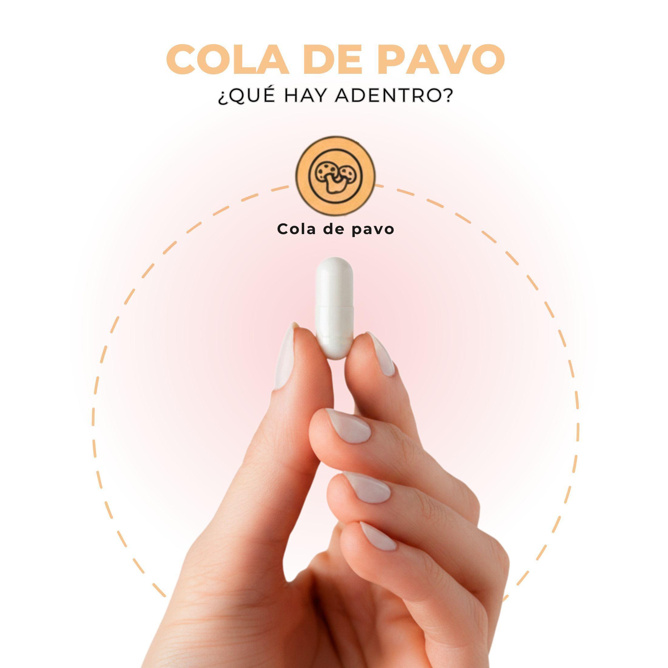 Pack 2 Cola De Pavo 120 Capsulas 500 mg Nutrilife+ Sistema Inmune Sin Sabor-5