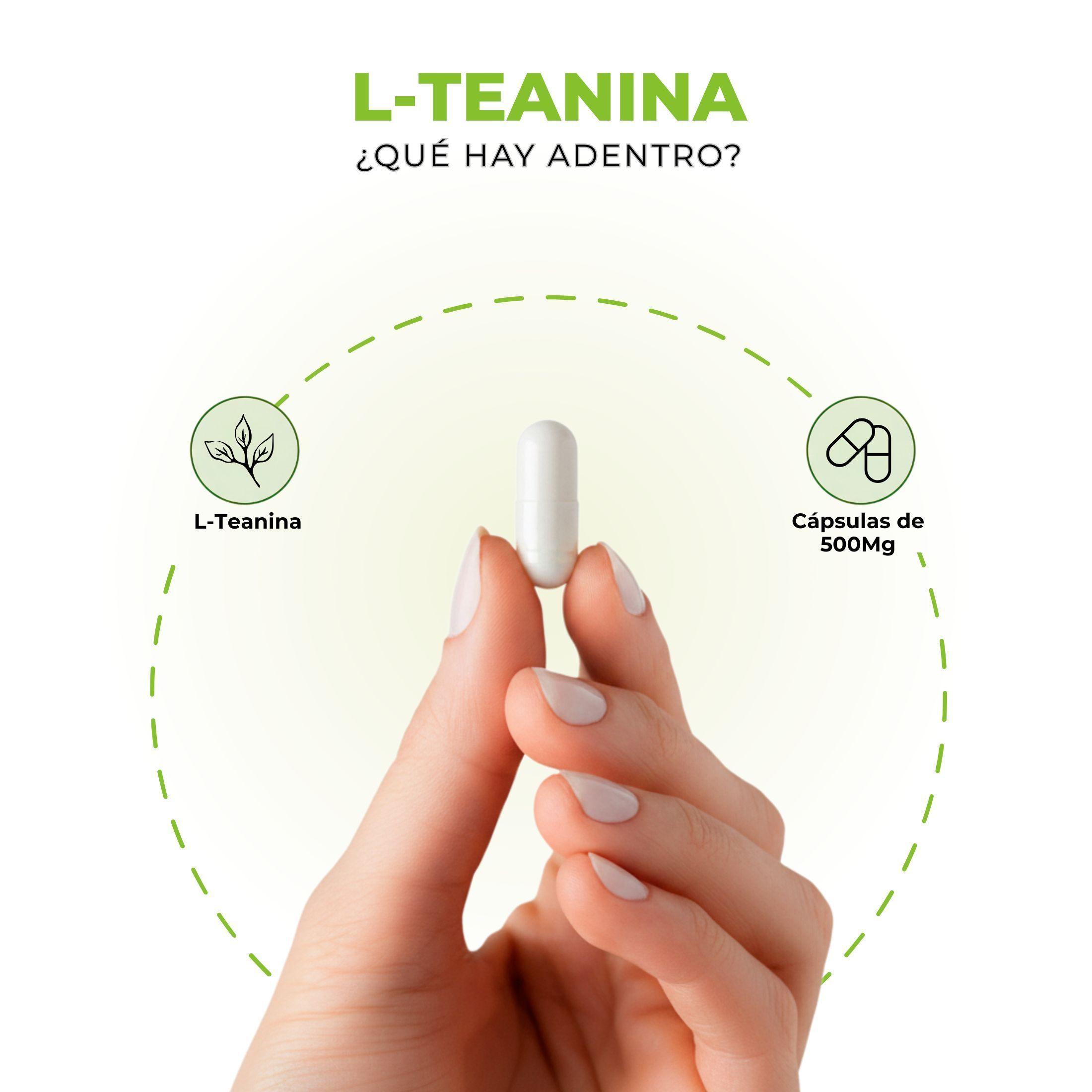 Pack 3 L teanina 500mg Nutrilif 90 Capsulas Te Verde L Teanina Suplemento Para Concentracion Sue o-6